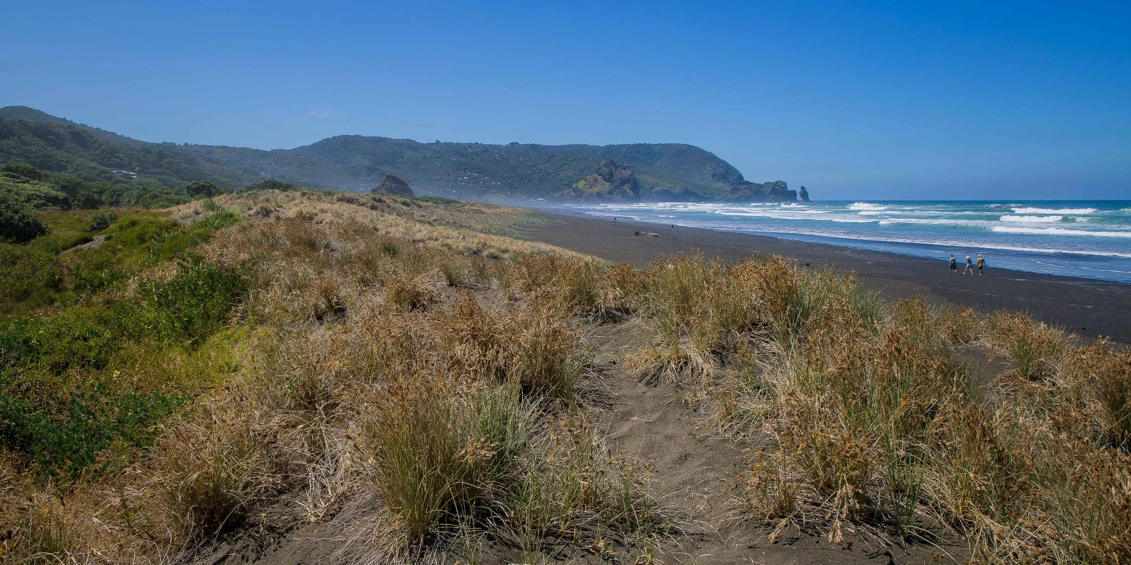 Piha North,-324d.jpg