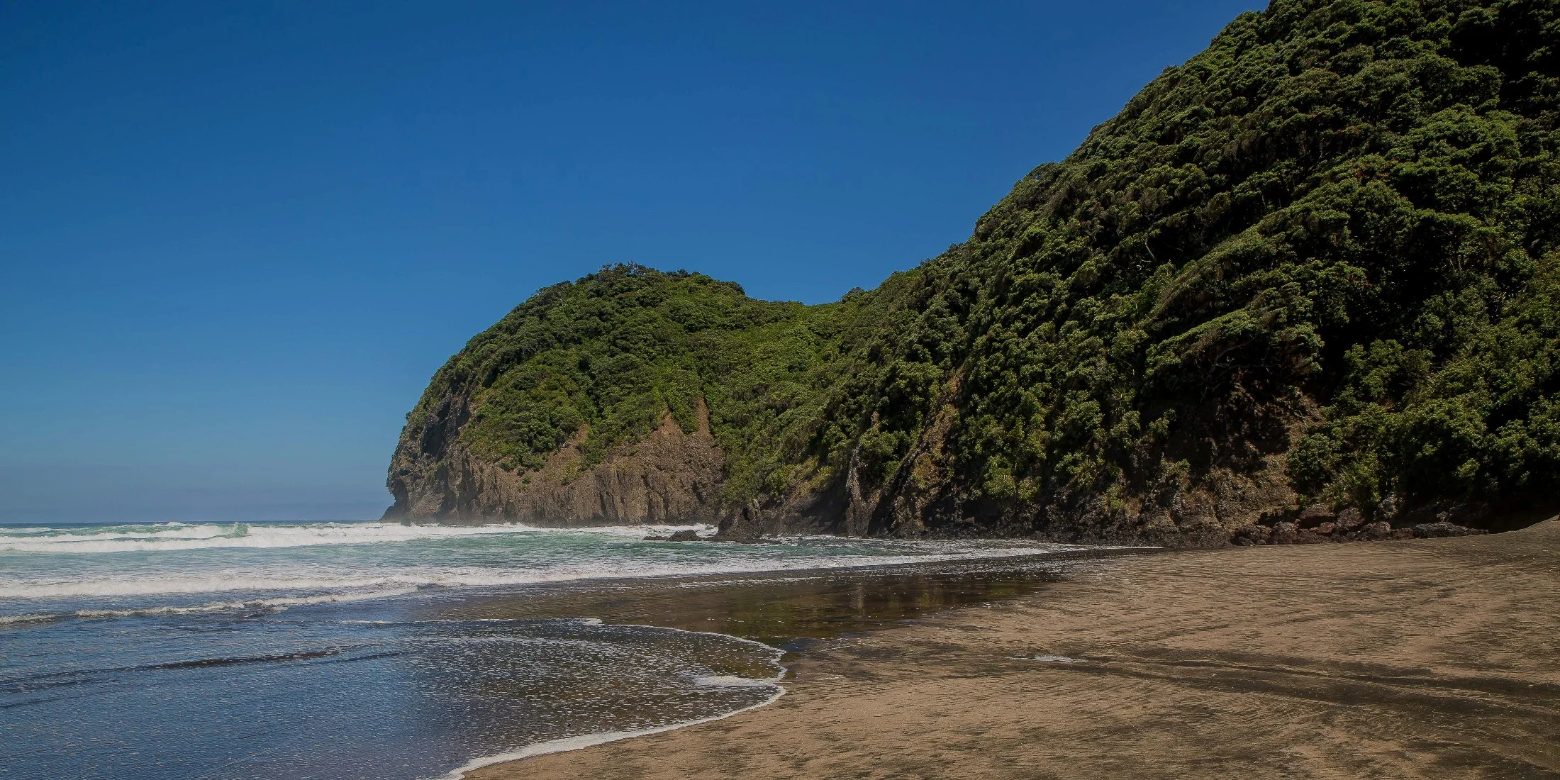 Piha North,-337d.jpg