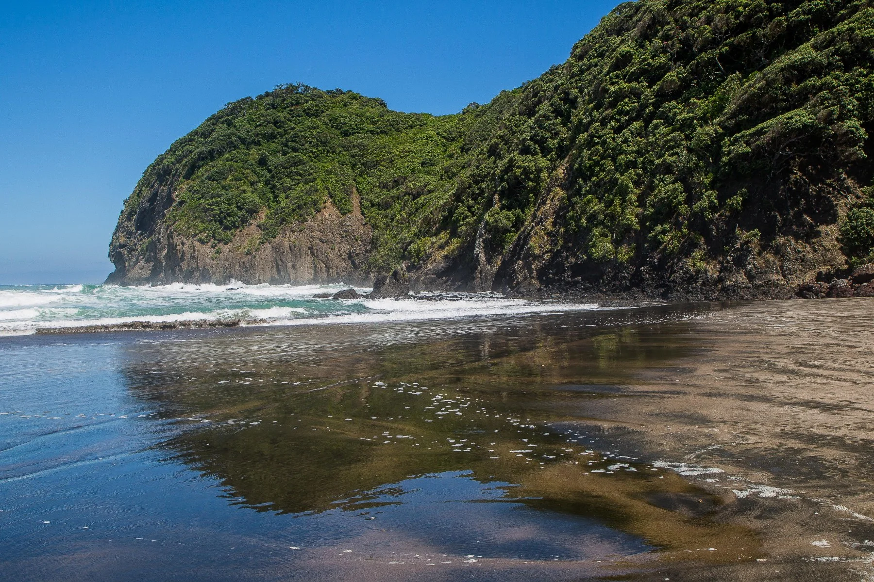 Piha North,-338d.jpg