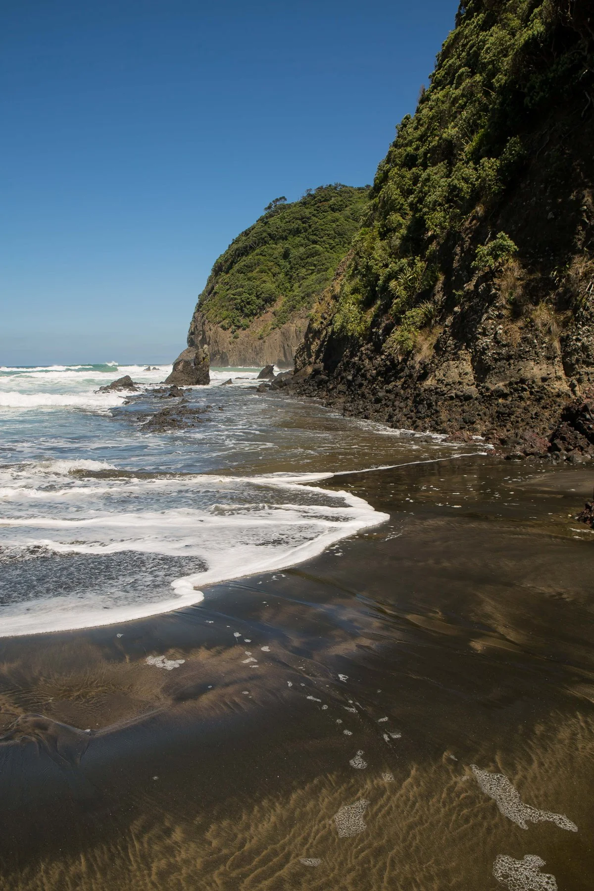 Piha North,-342d.jpg