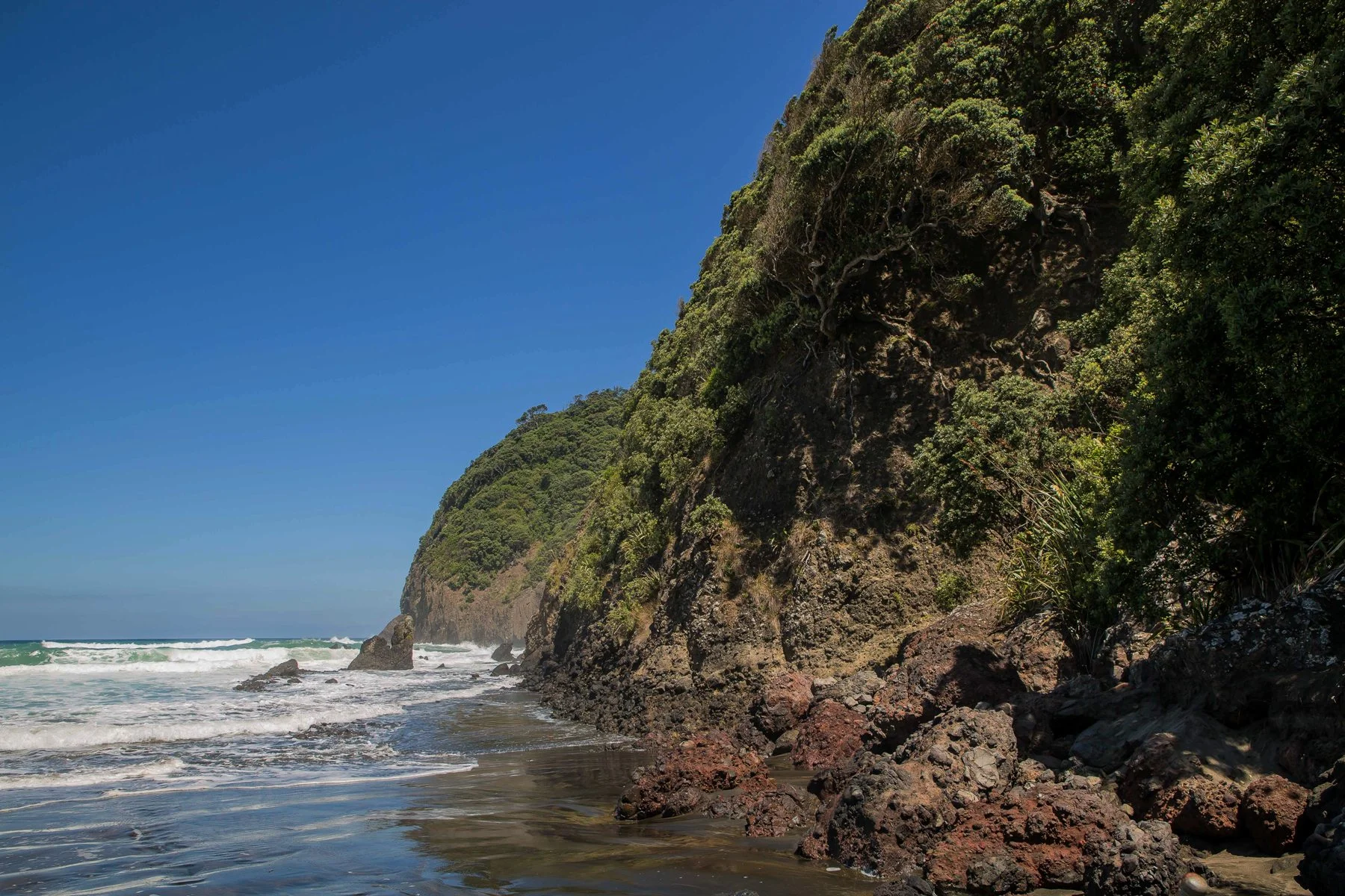Piha North,-345d.jpg