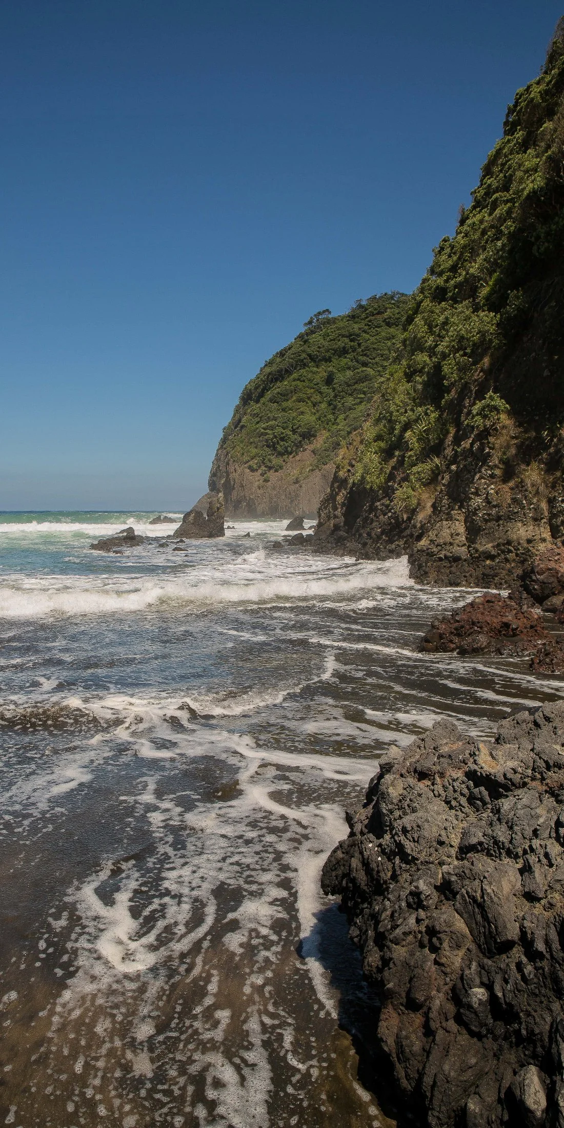 Piha North,-344d.jpg