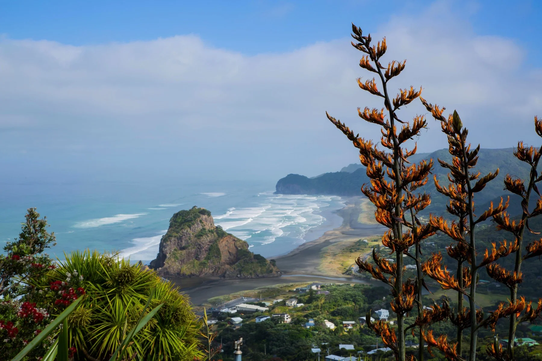 Piha,-281d.jpg
