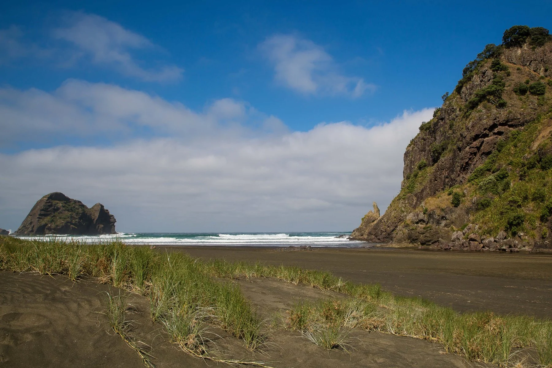 Piha,-291d.jpg