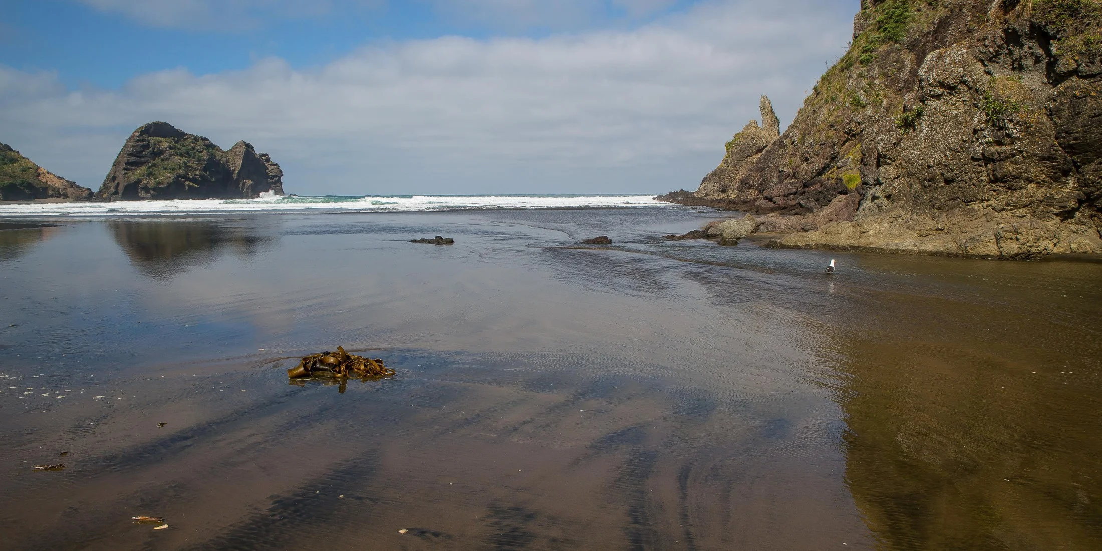 Piha,-296d.jpg