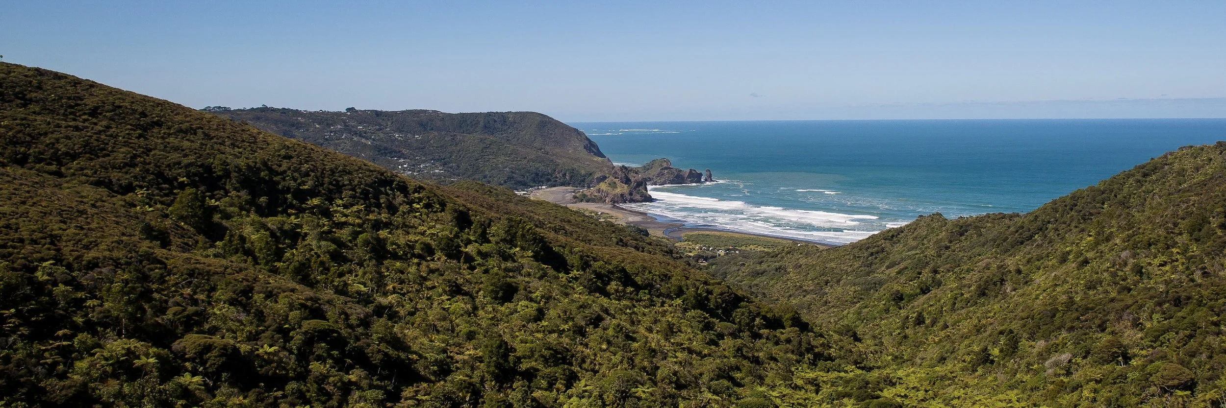 Piha,-323d.jpg