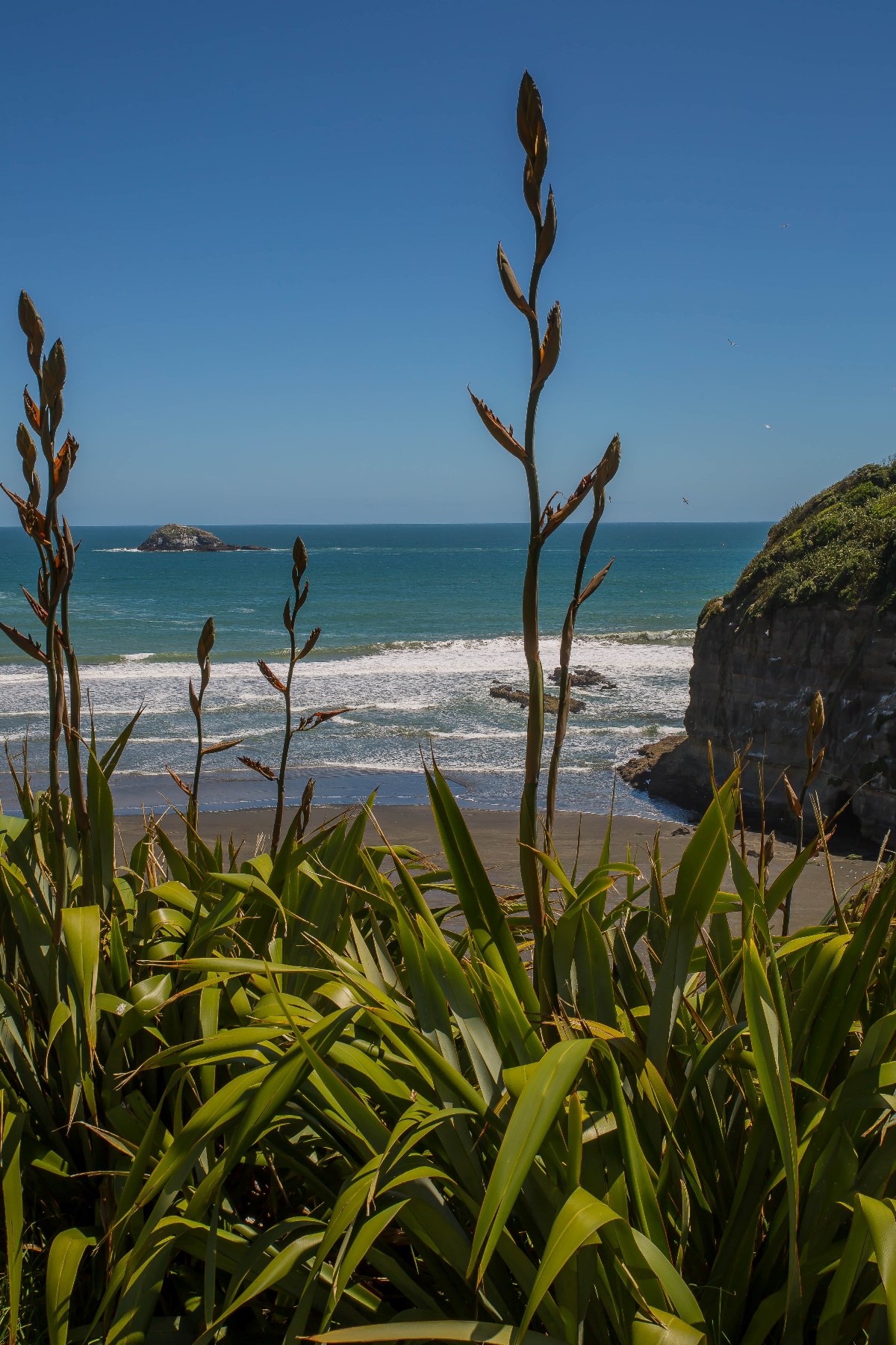 Maori Bay,-579d.jpg