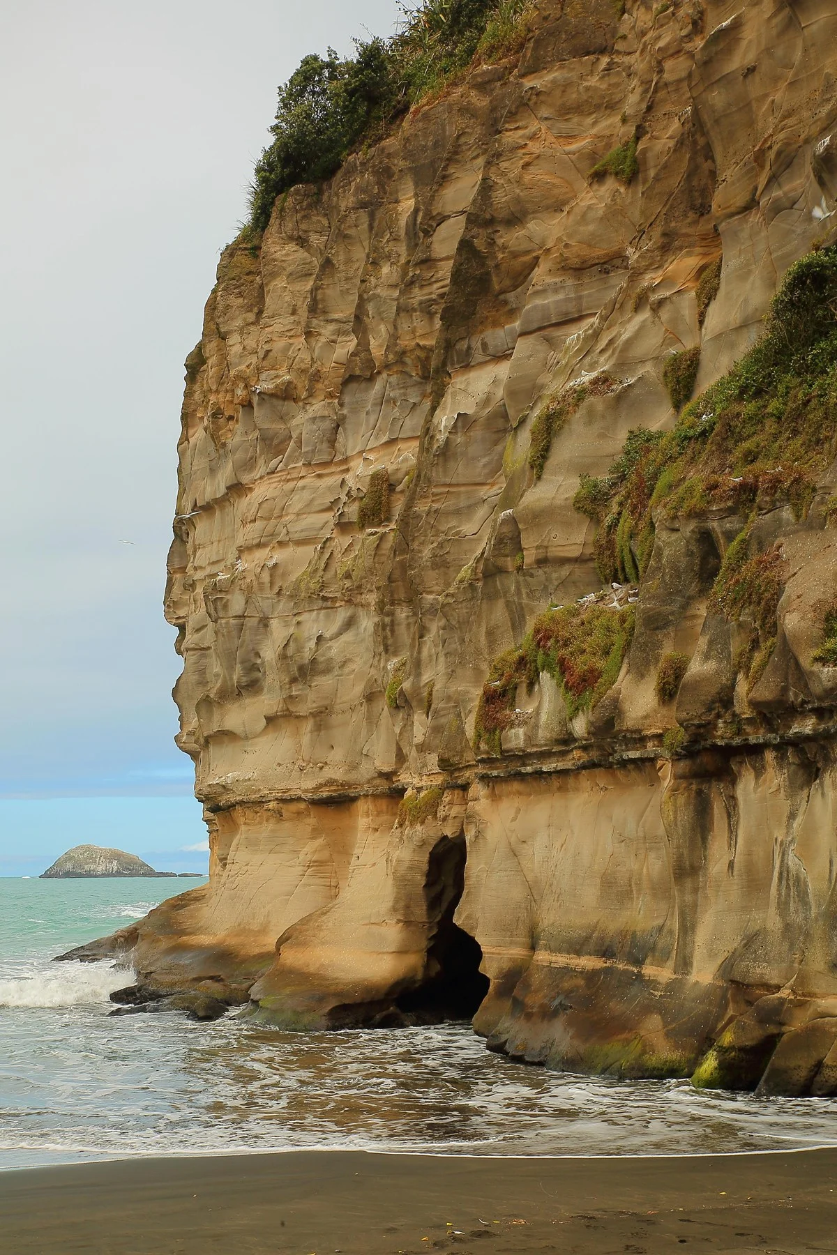 Maori Bay,Maukatia,-011d.jpg