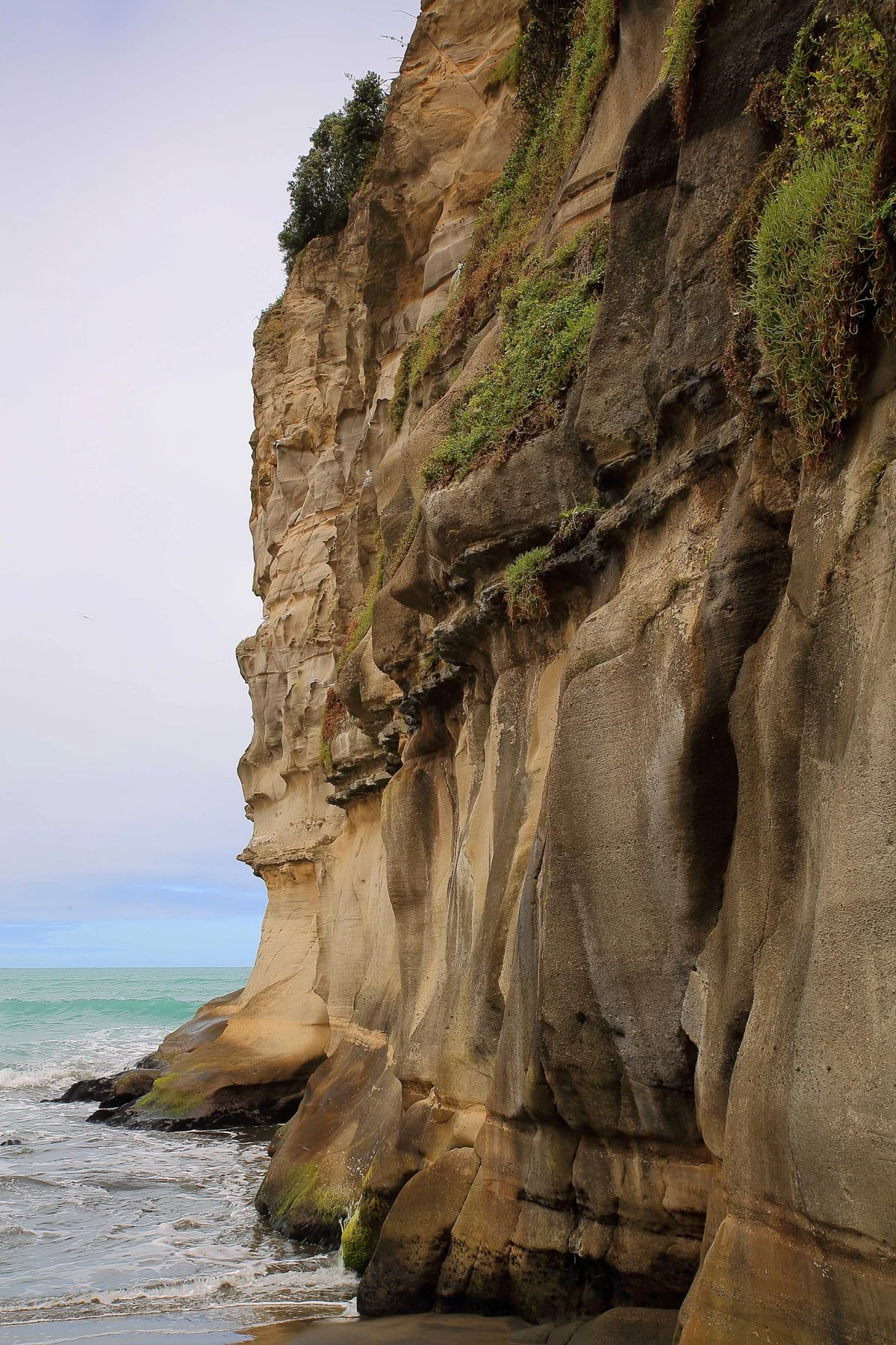 Maori Bay,Maukatia,-016a.jpg