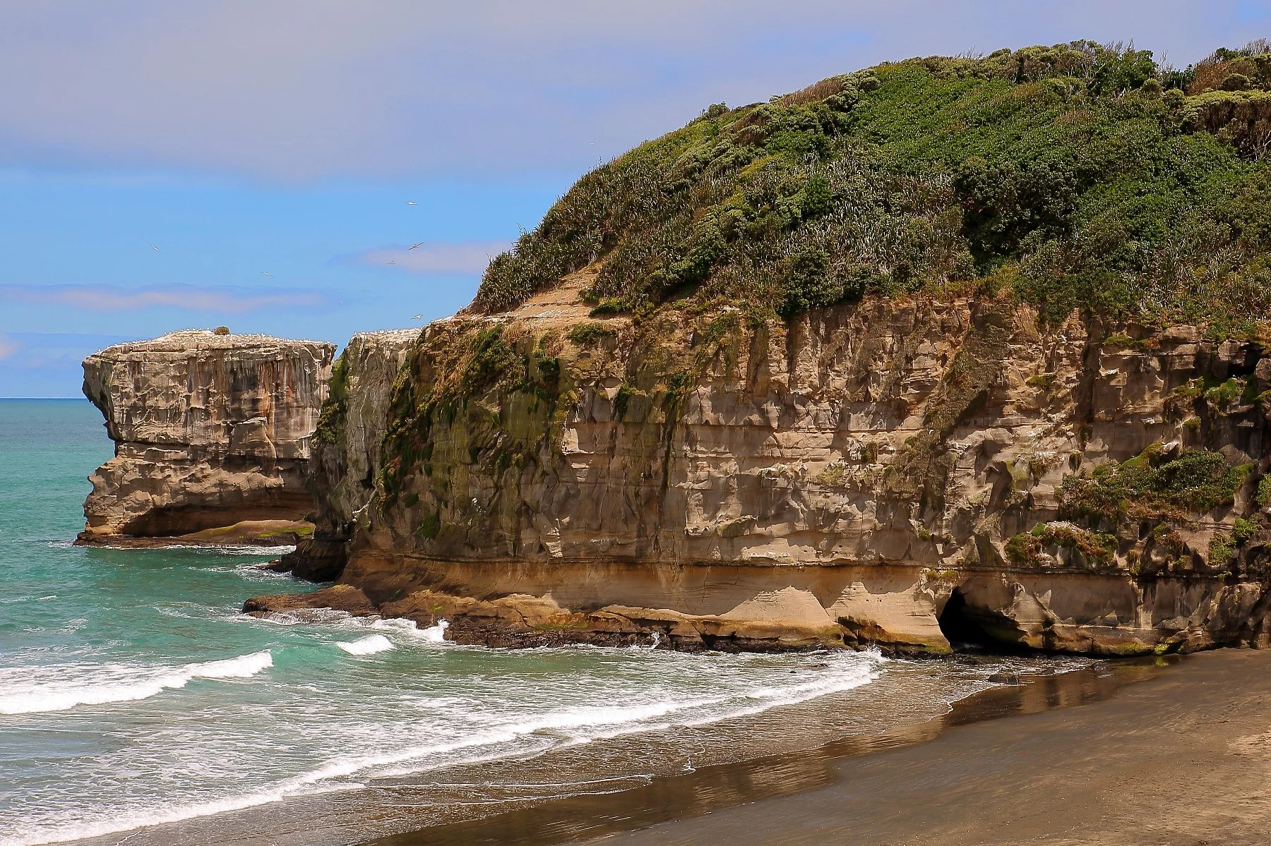 Maori Bay,Maukatia,-046d.jpg