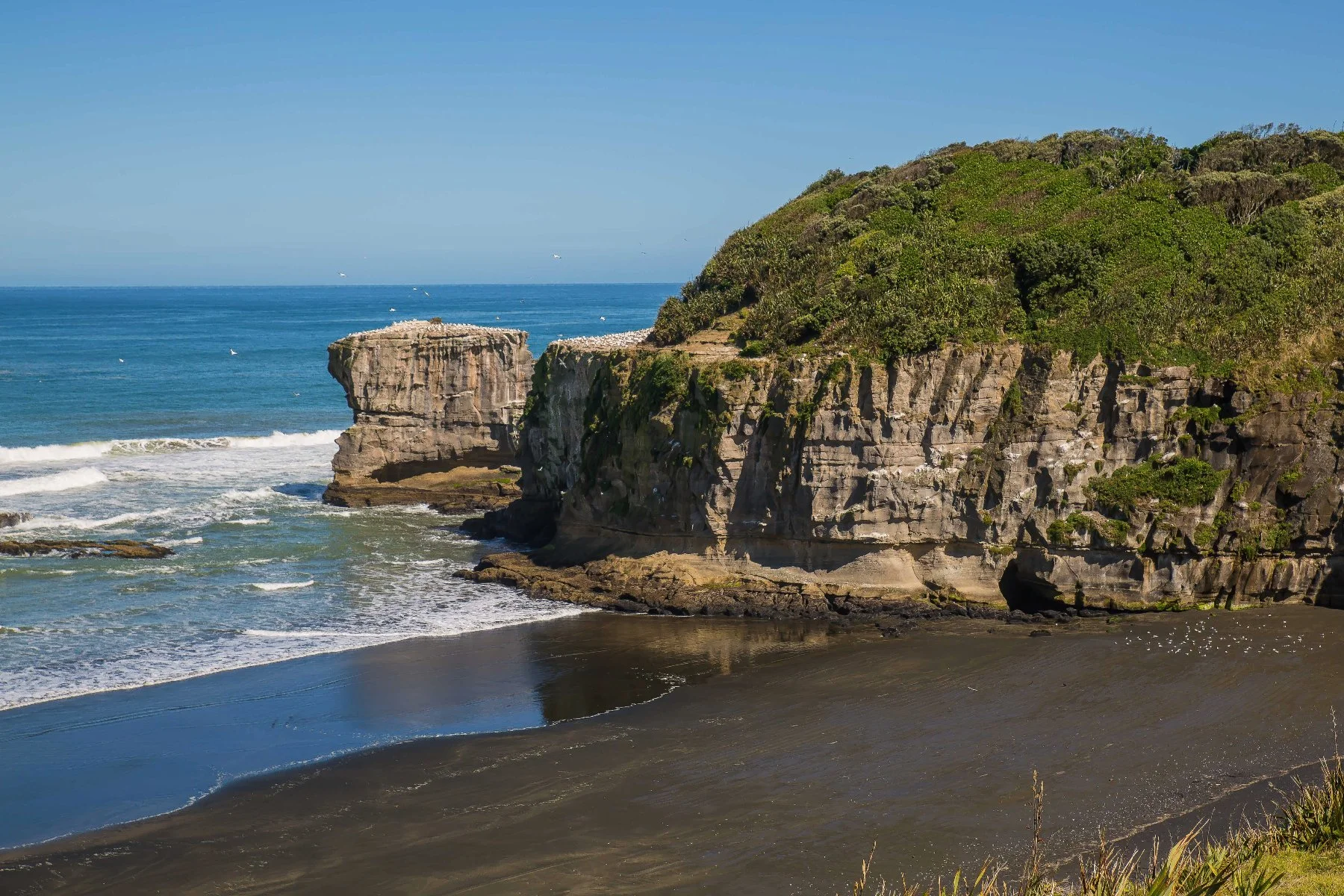 Maori Bay,Maukatia,-434d.jpg