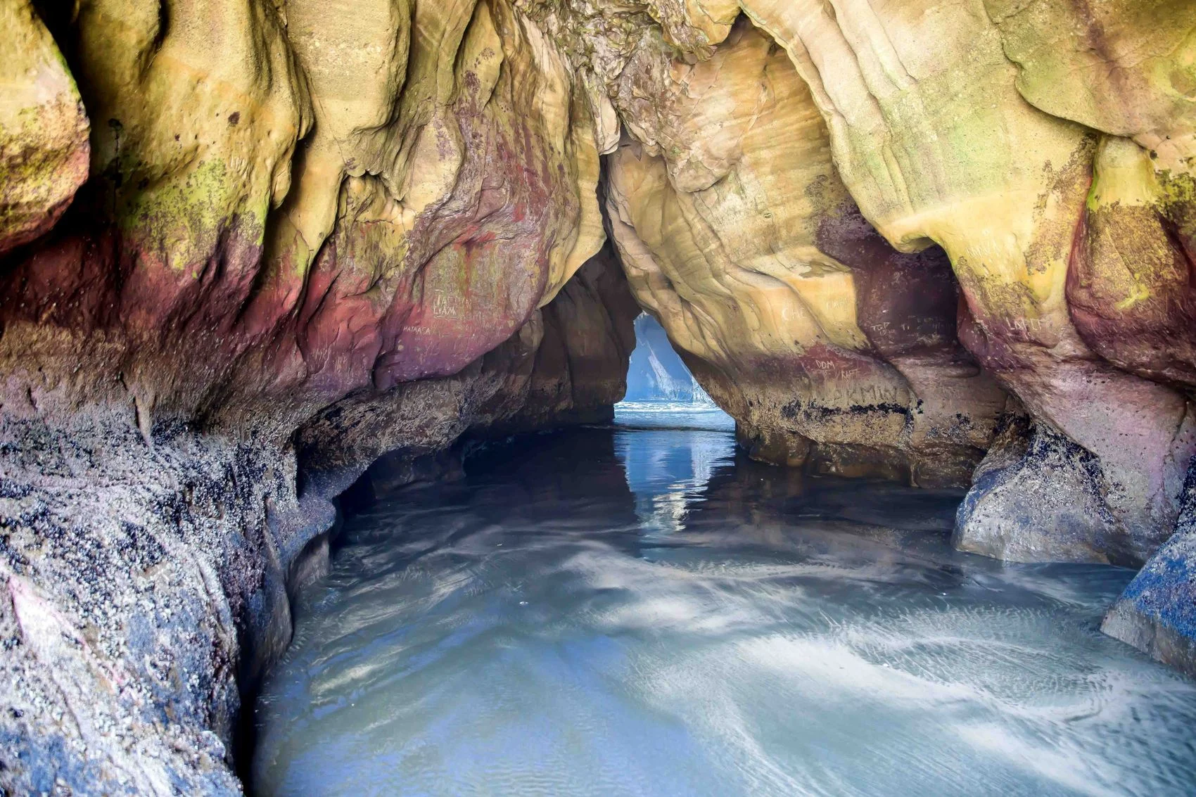 Maori Bay,Maukatia,-444d.jpg