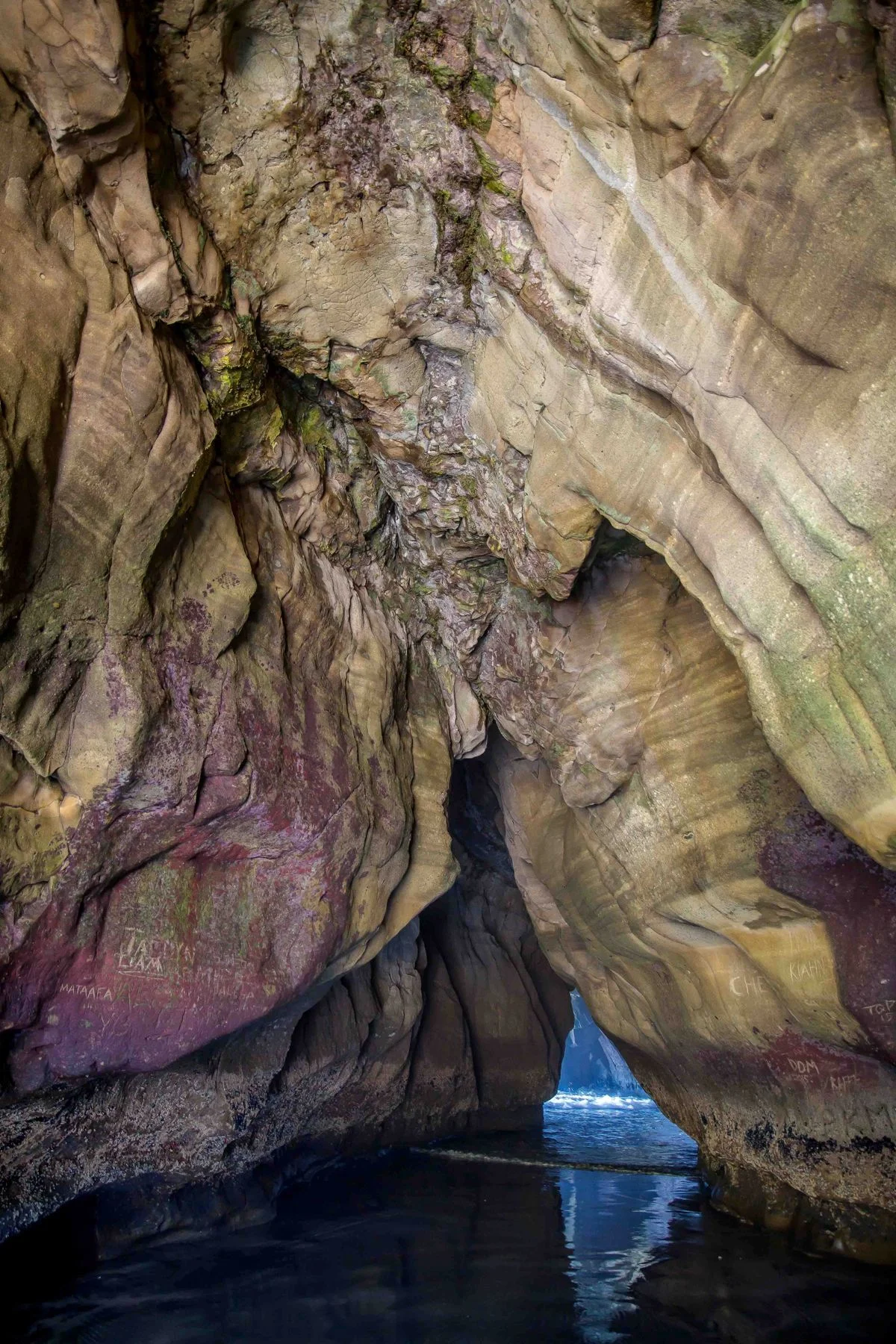Maori Bay,Maukatia,-447d.jpg