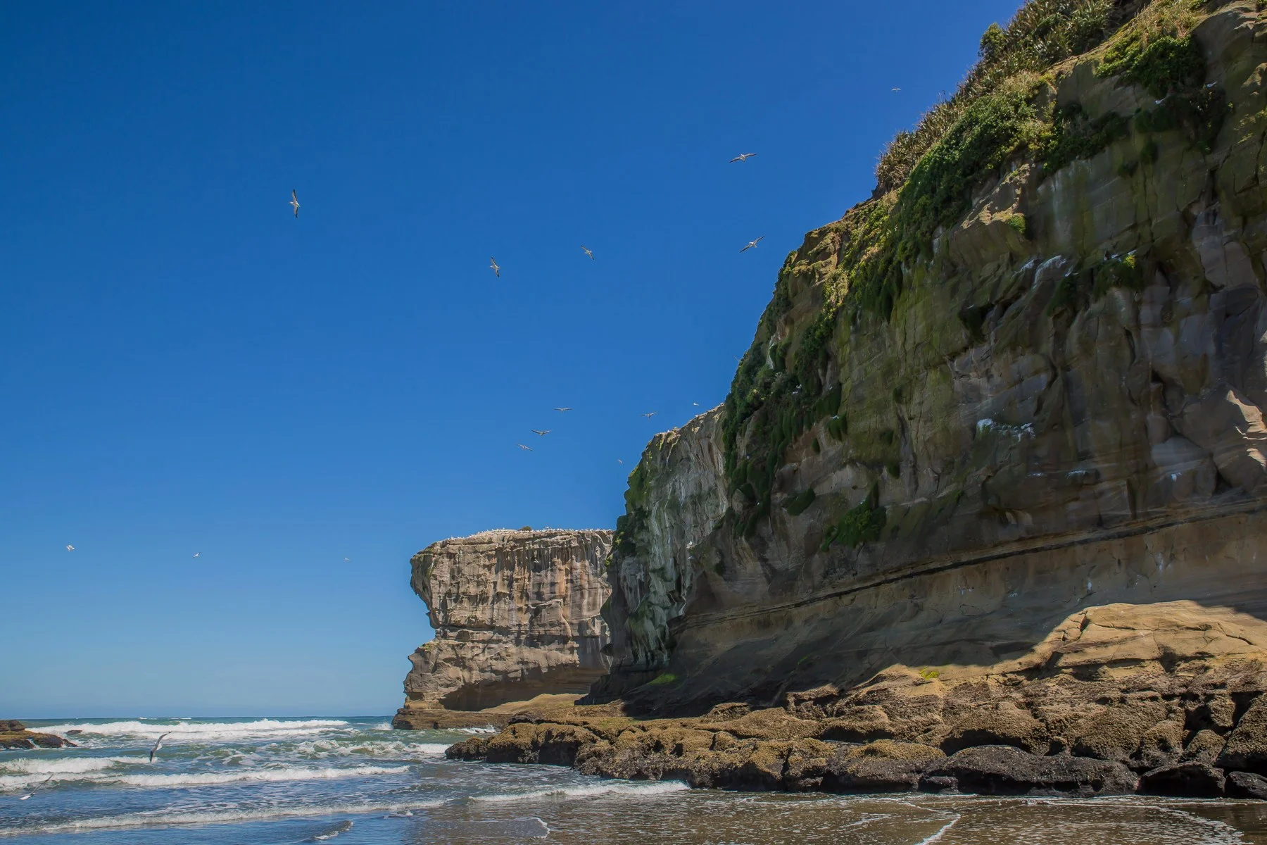 Maori Bay,Maukatia,-461d.jpg