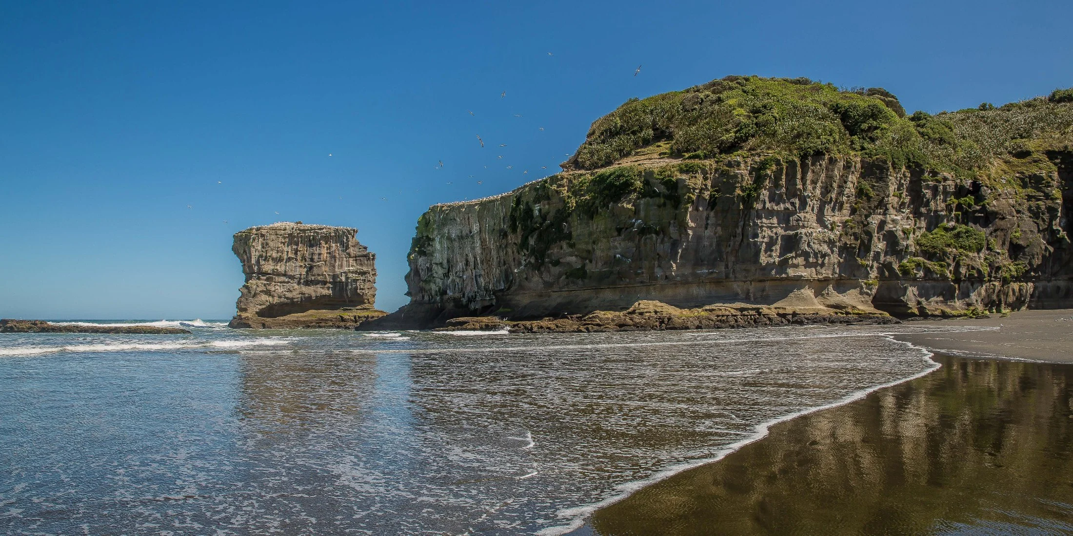 Maori Bay,Maukatia,-465d.jpg