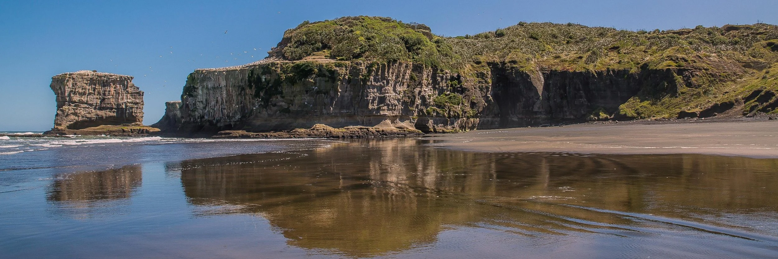 Maori Bay,Maukatia,-469d.jpg