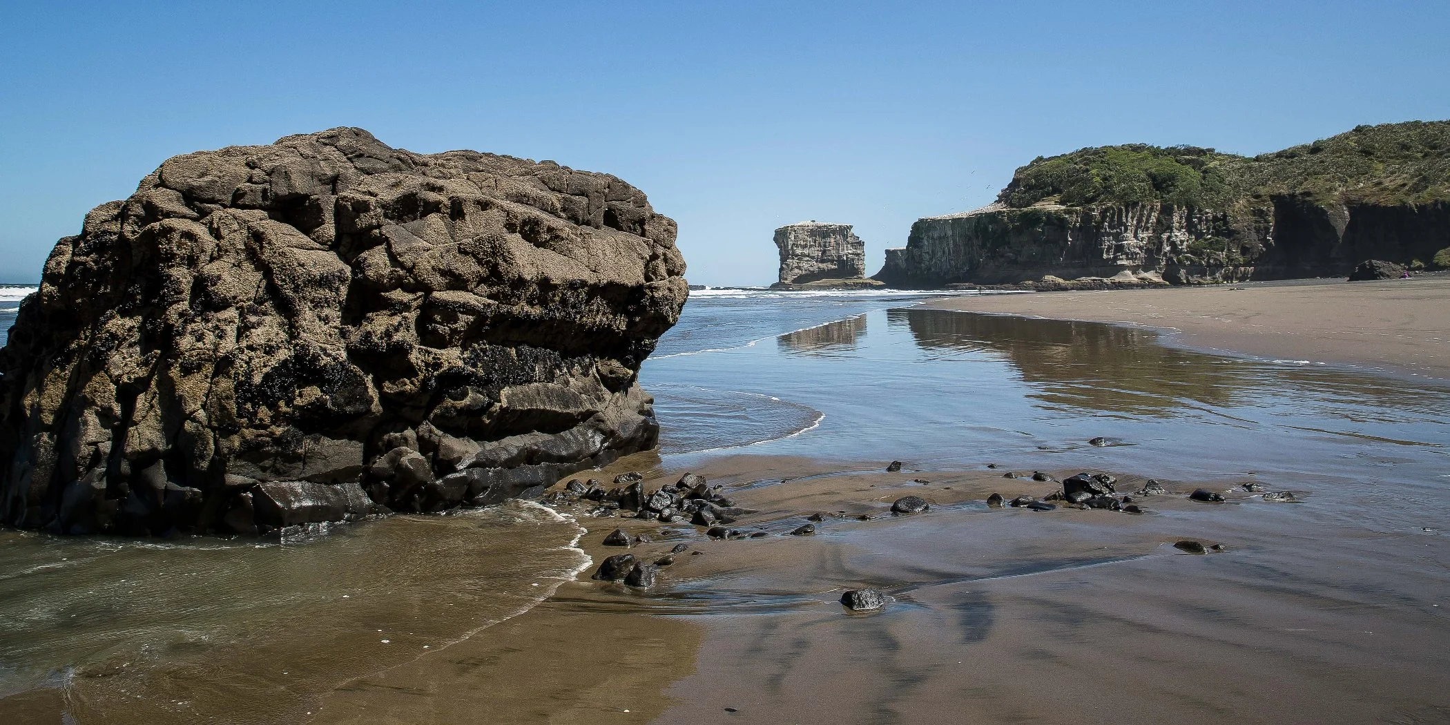Maori Bay,Maukatia,-474d.jpg