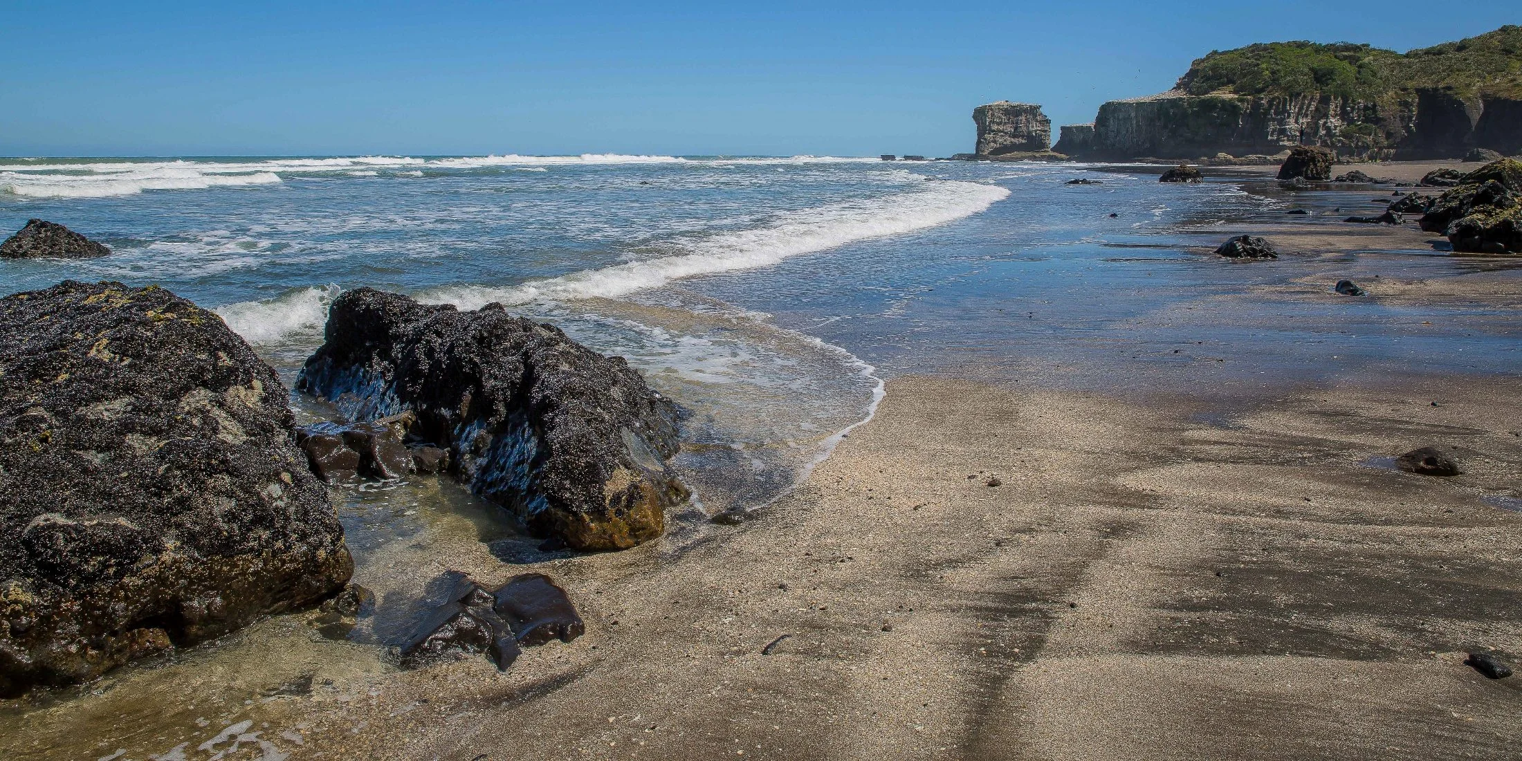 Maori Bay,Maukatia,-490d.jpg