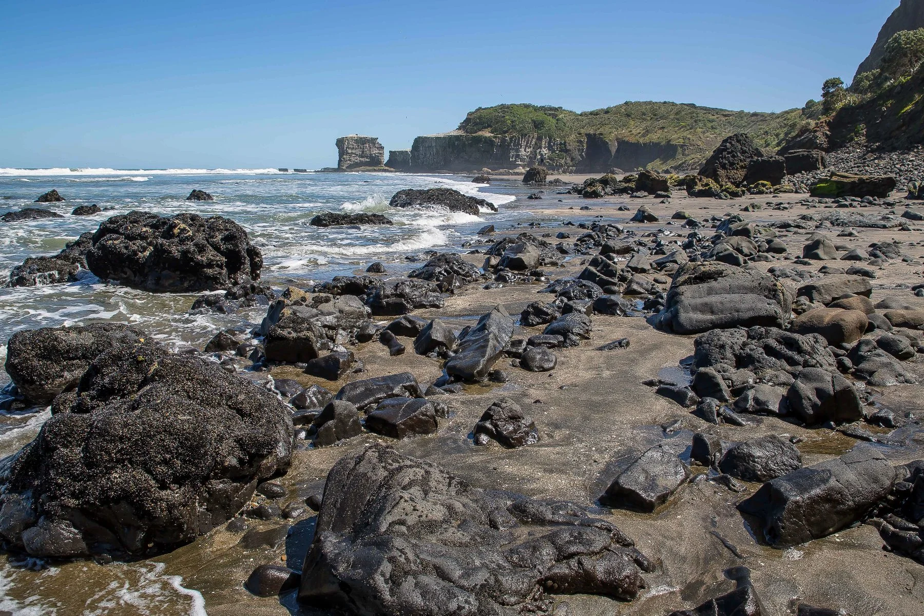 Maori Bay,Maukatia,-492d.jpg