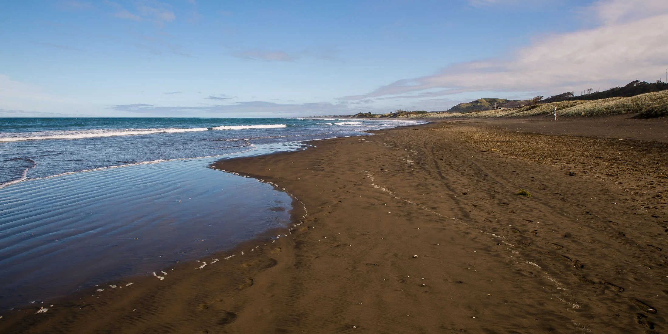 Muriwai Beach,-039d.jpg
