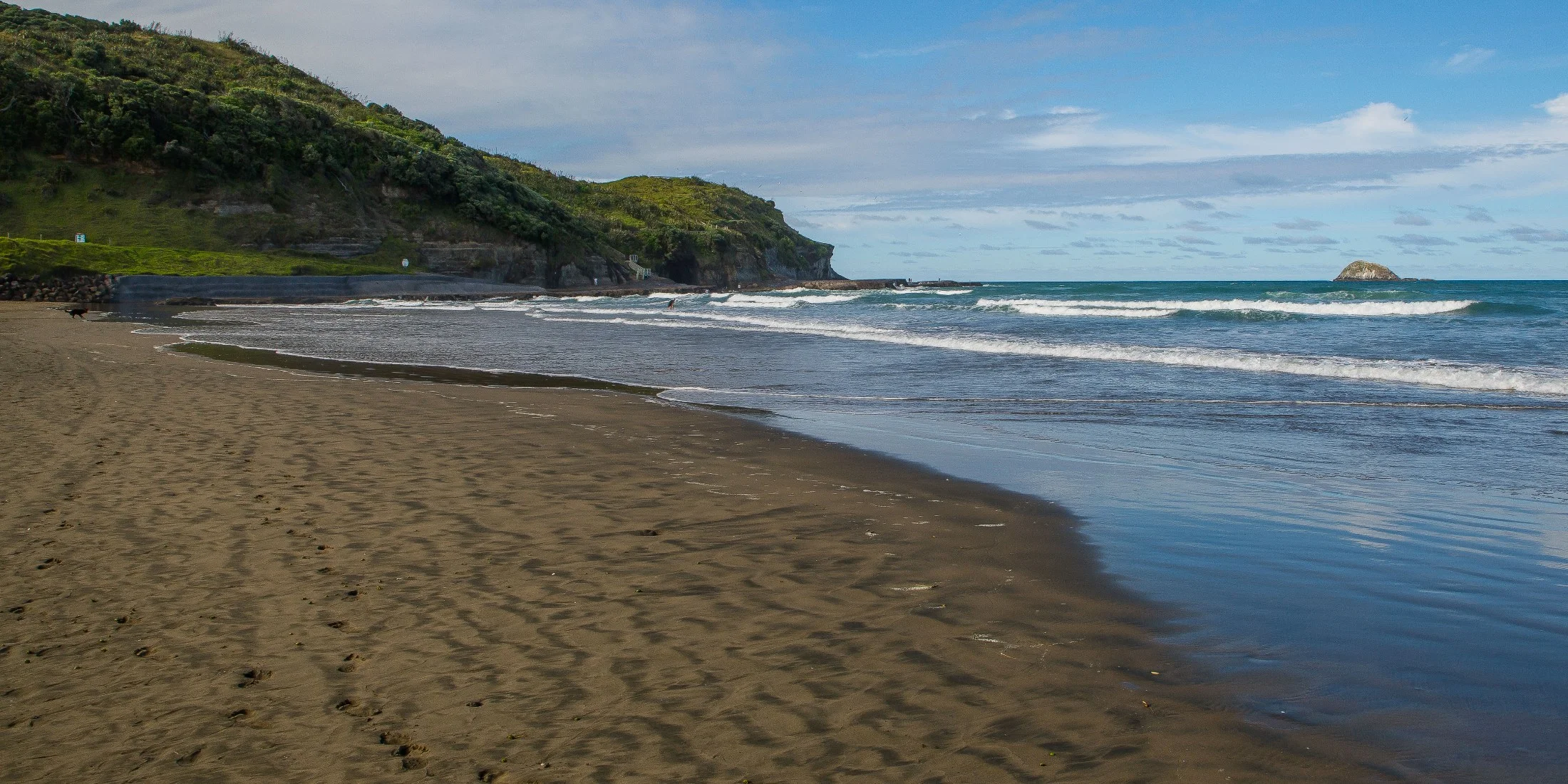 Muriwai beach,-040d.jpg
