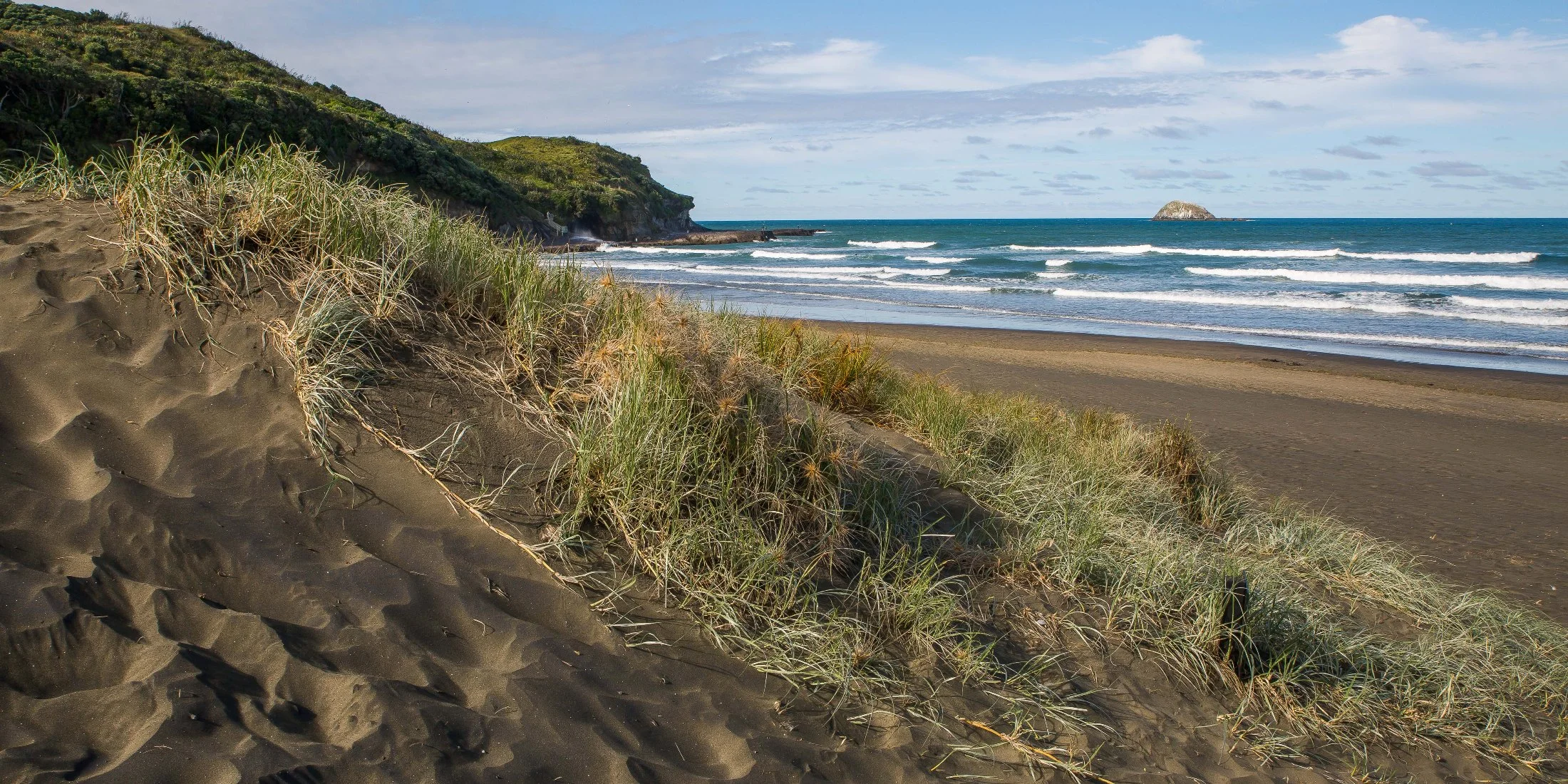 Muriwai beach,-043d.jpg