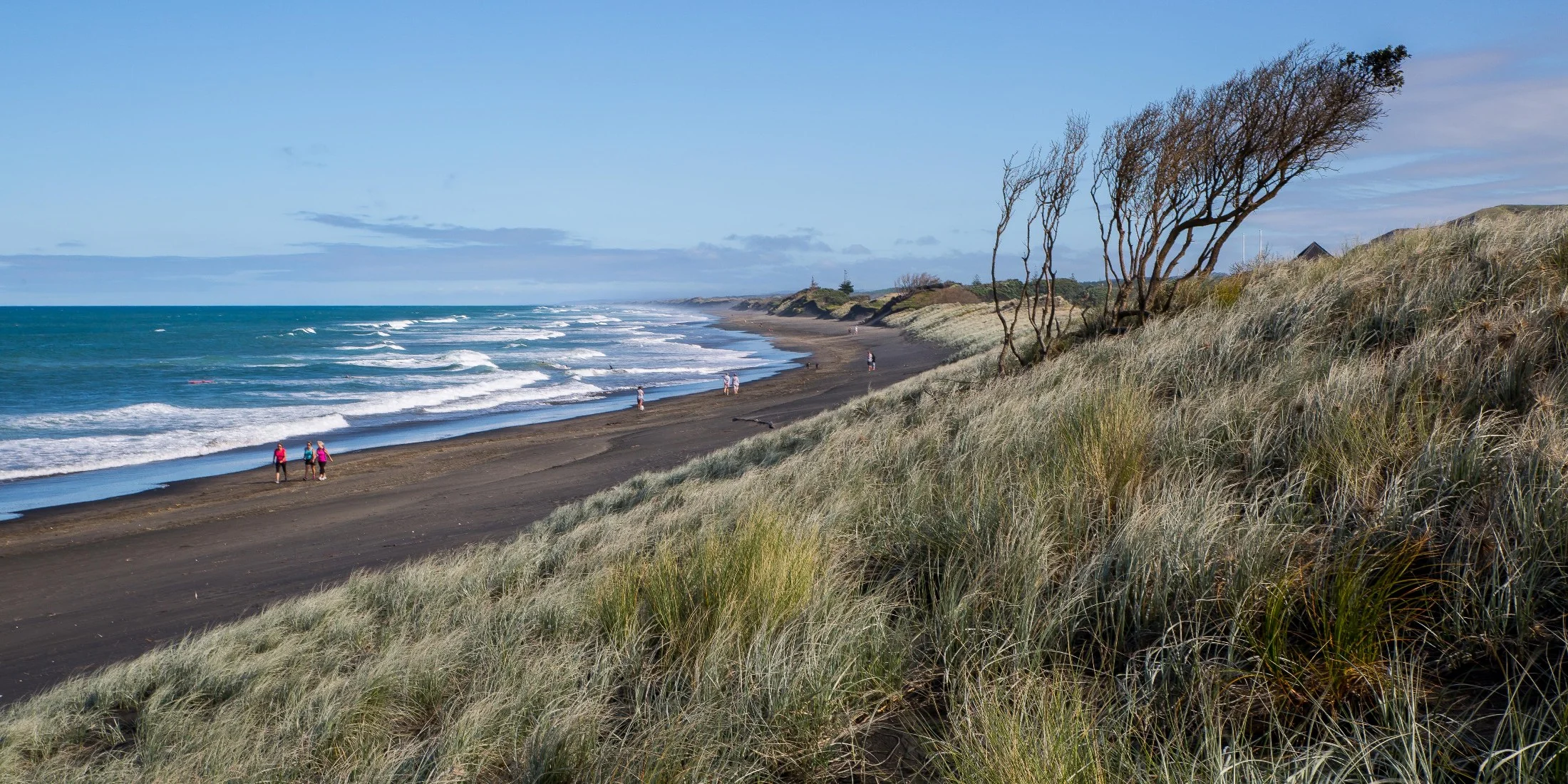Muriwai beach,-044d.jpg