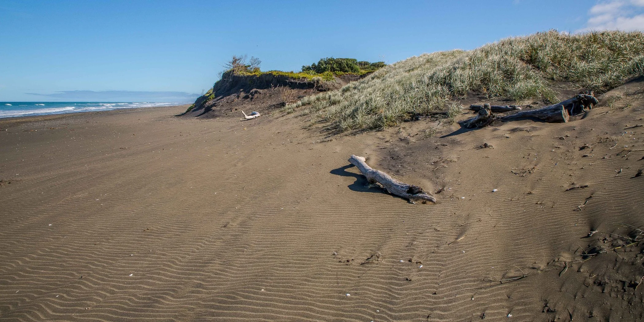 Muriwai beach,-052d.jpg