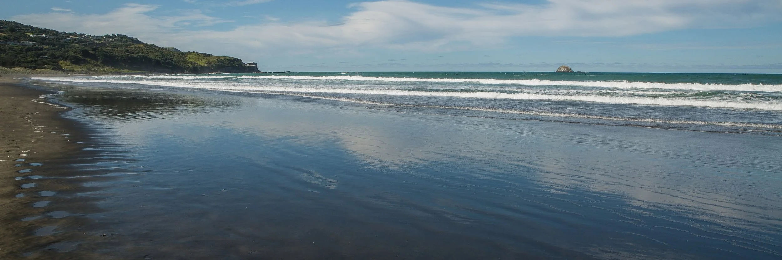 Muriwai beach,-053d.jpg