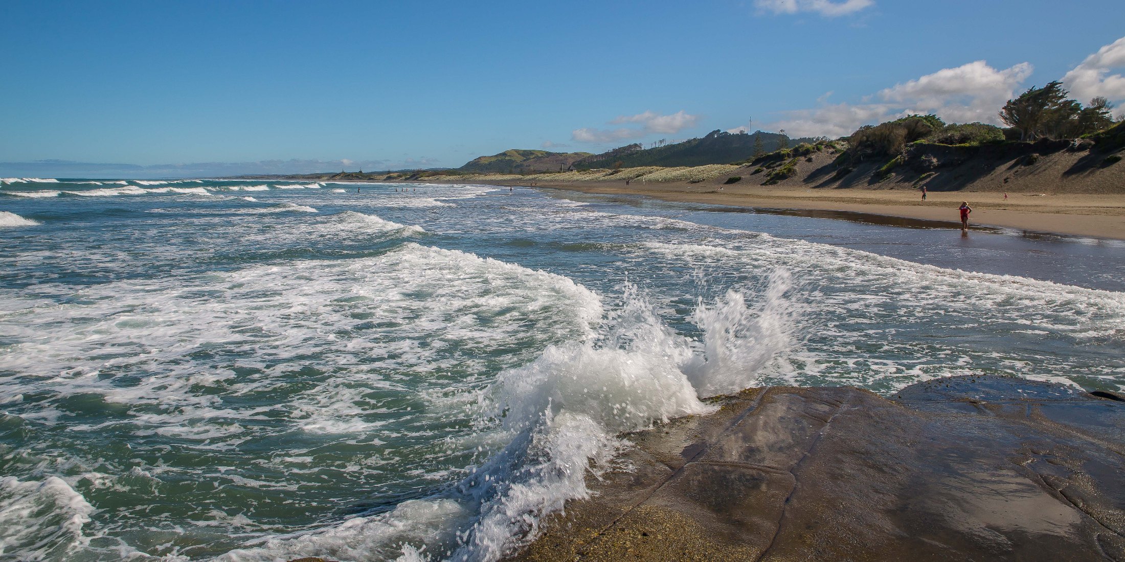 Muriwai beach,-055d.jpg