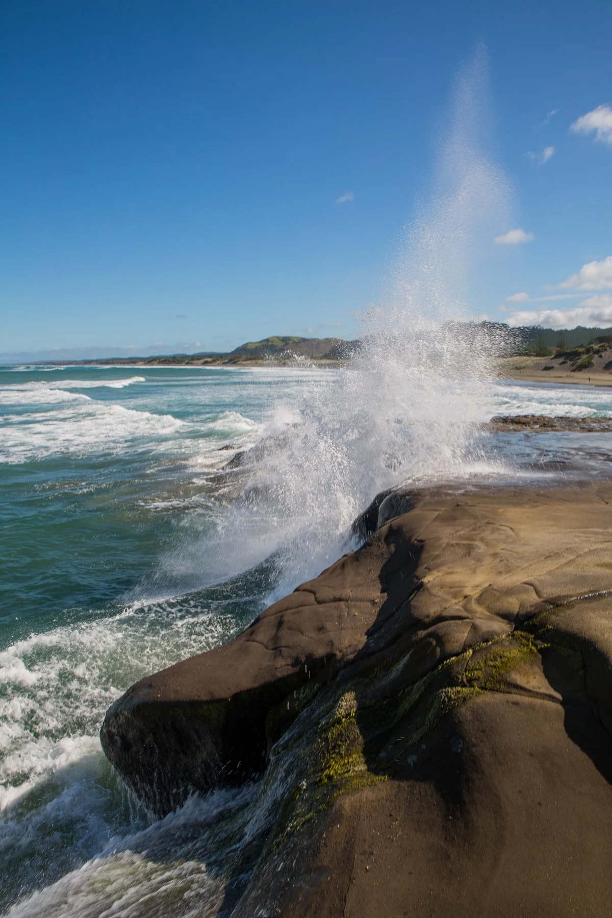 Muriwai beach,-090d.jpg