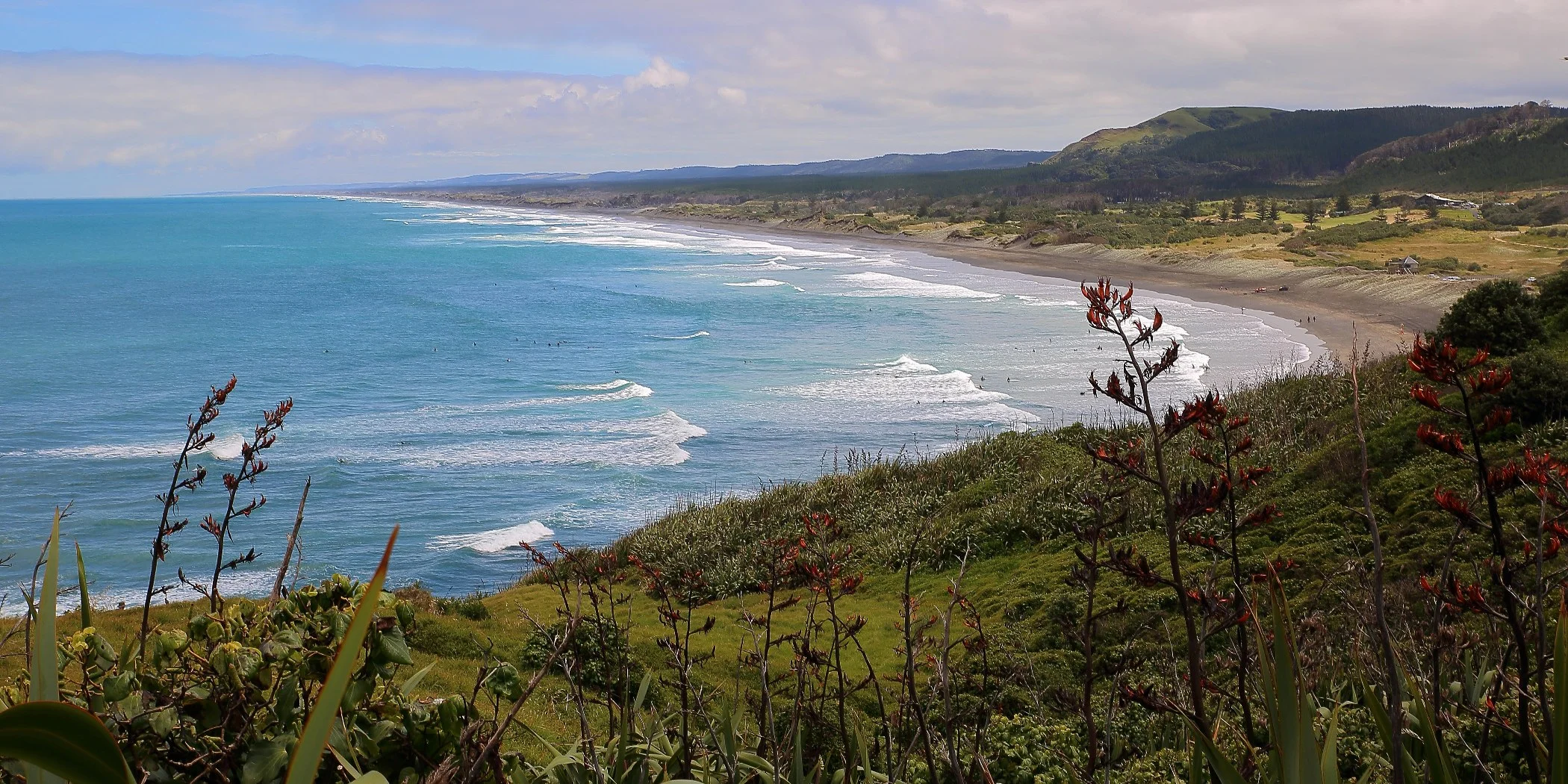 Muriwai Beach,065d-.jpg