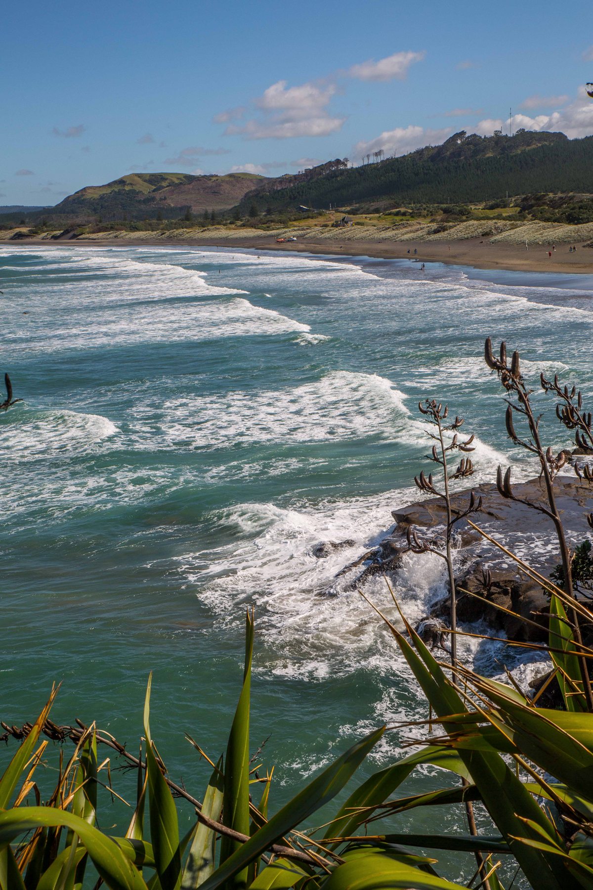 Muriwai beach,-098d.jpg