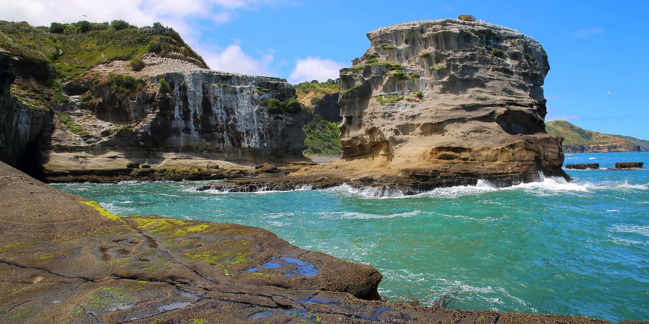 Muriwai Beach,153d-.jpg
