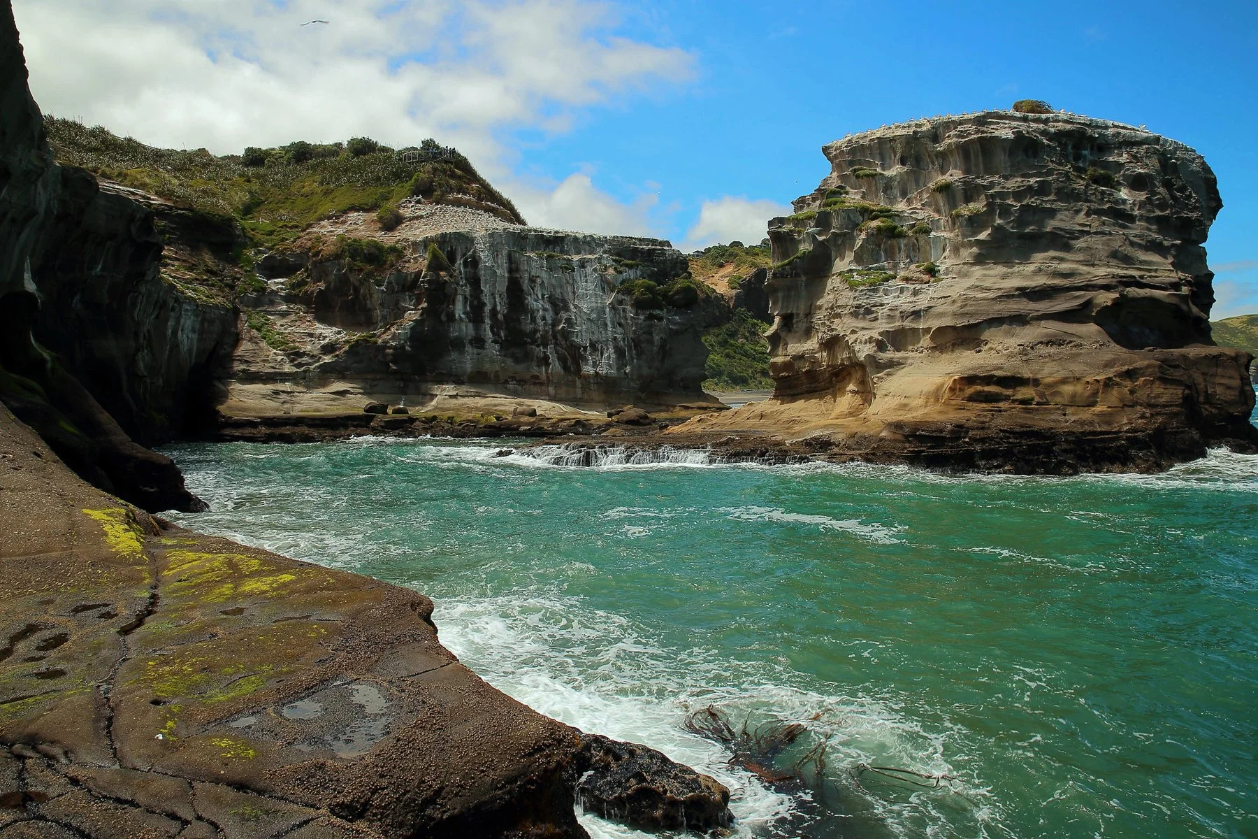 Muriwai Beach,-154d.jpg