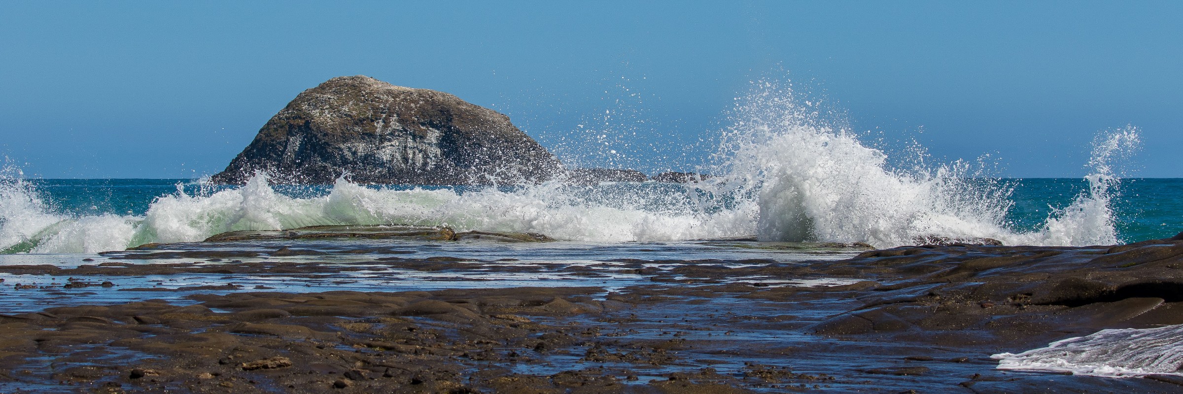 Muriwai beach,-468d.jpg