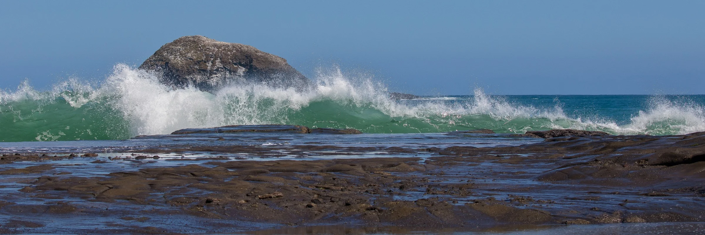Muriwai beach,-474d.jpg