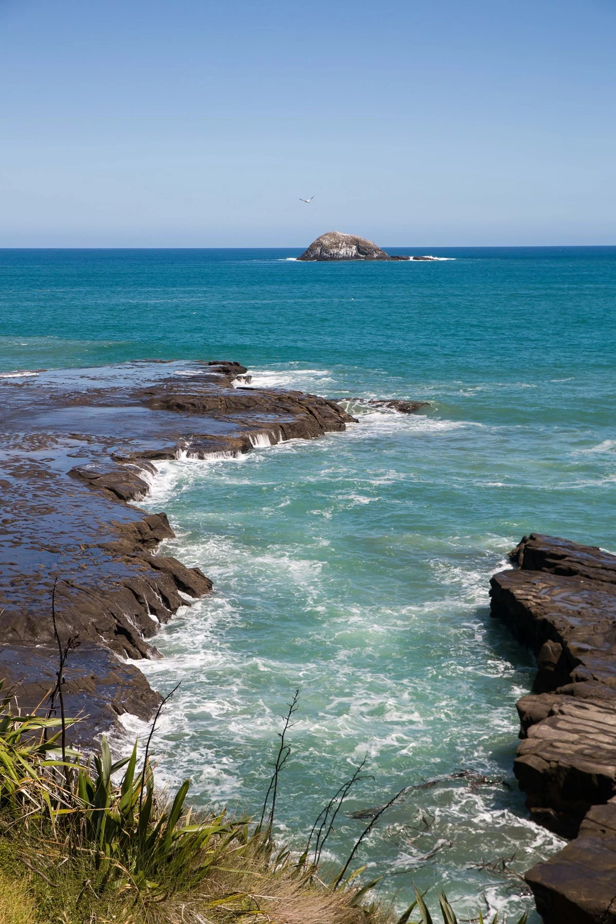 Muriwai beach,-475d.jpg