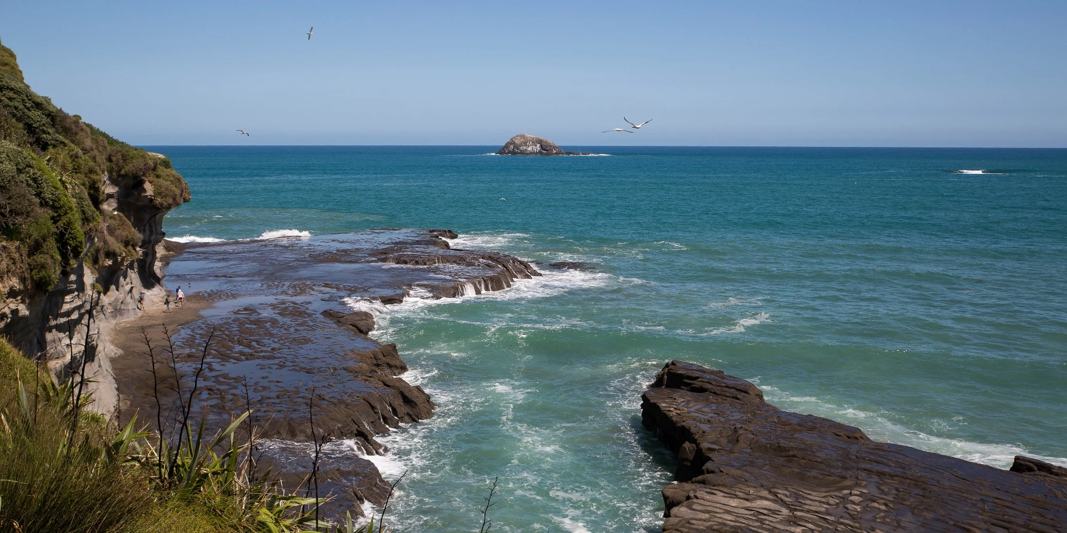 Muriwai beach,-476d.jpg