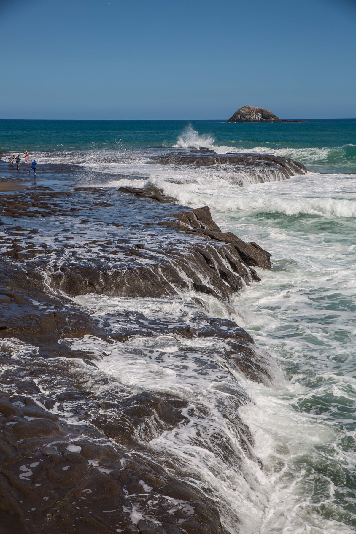 Muriwai beach,-488d.jpg