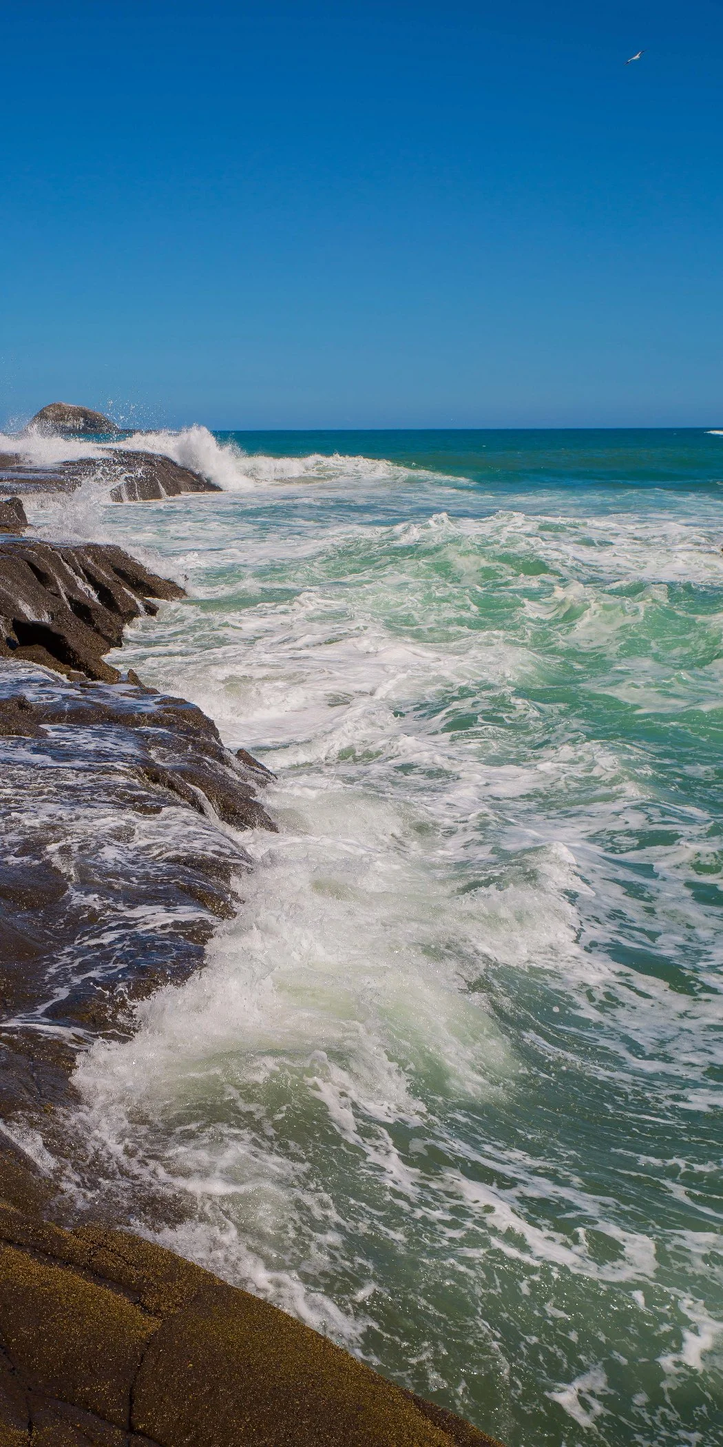 Muriwai beach,-504d.jpg