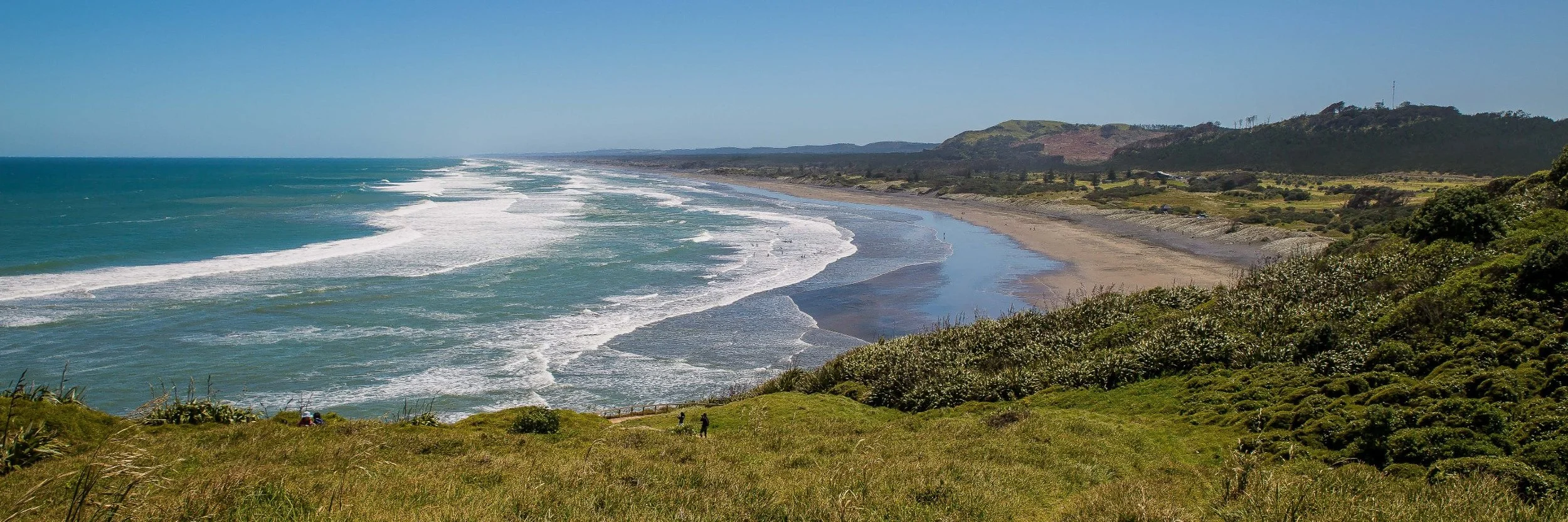 Muriwai Beach,-515d.jpg