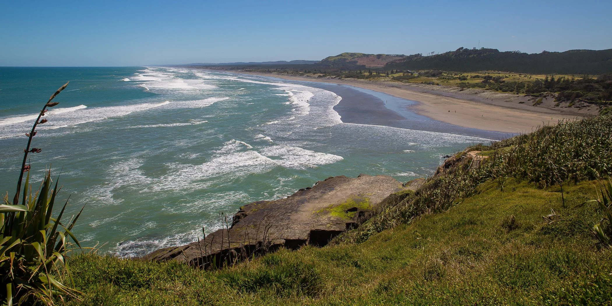 Muriwai Beach,-524d.jpg