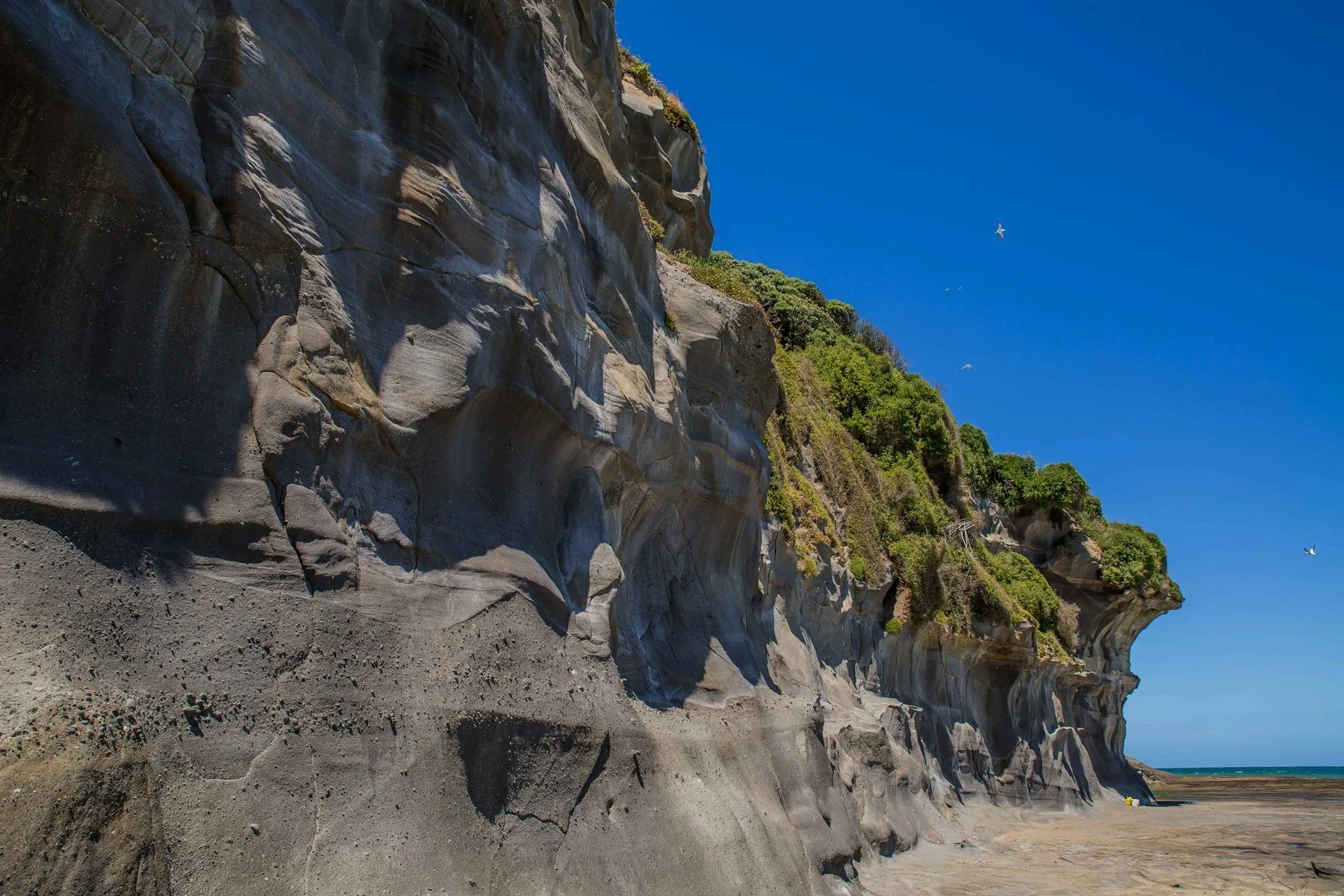 Muriwai Beach,-539d.jpg