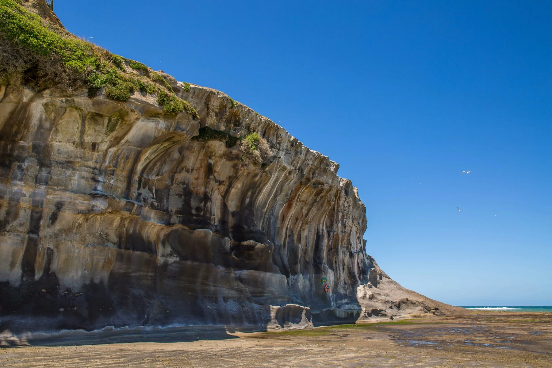 Muriwai Beach,-540d.jpg