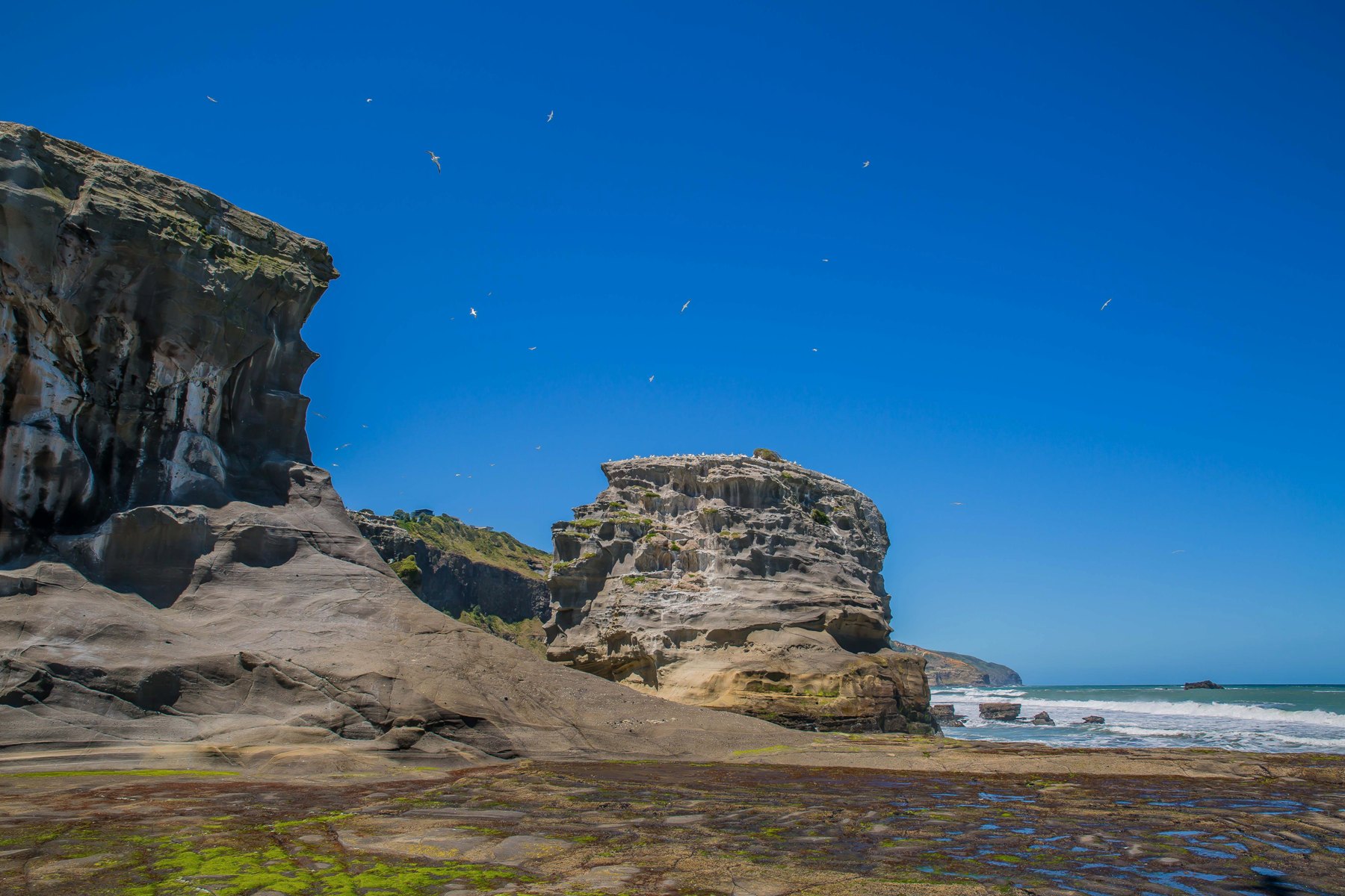 Muriwai Beach,-545d.jpg