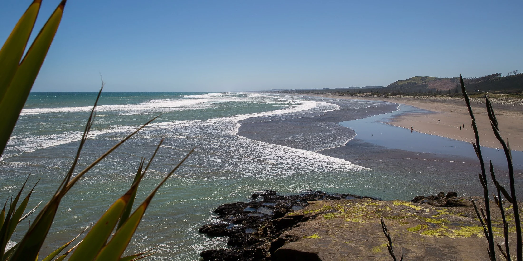 Muriwai Beach,-551d.jpg