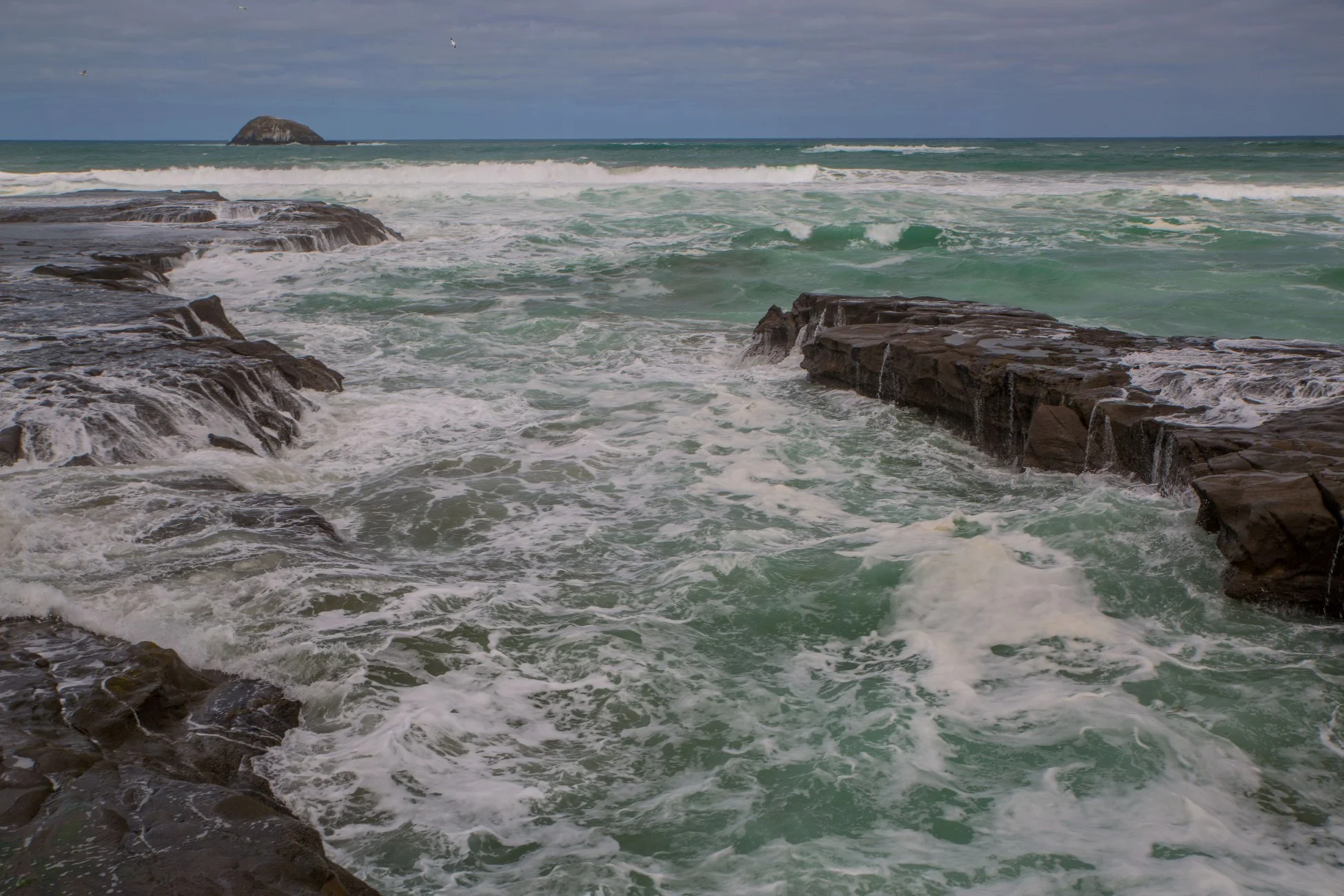 Muriwai,-2963d.jpg