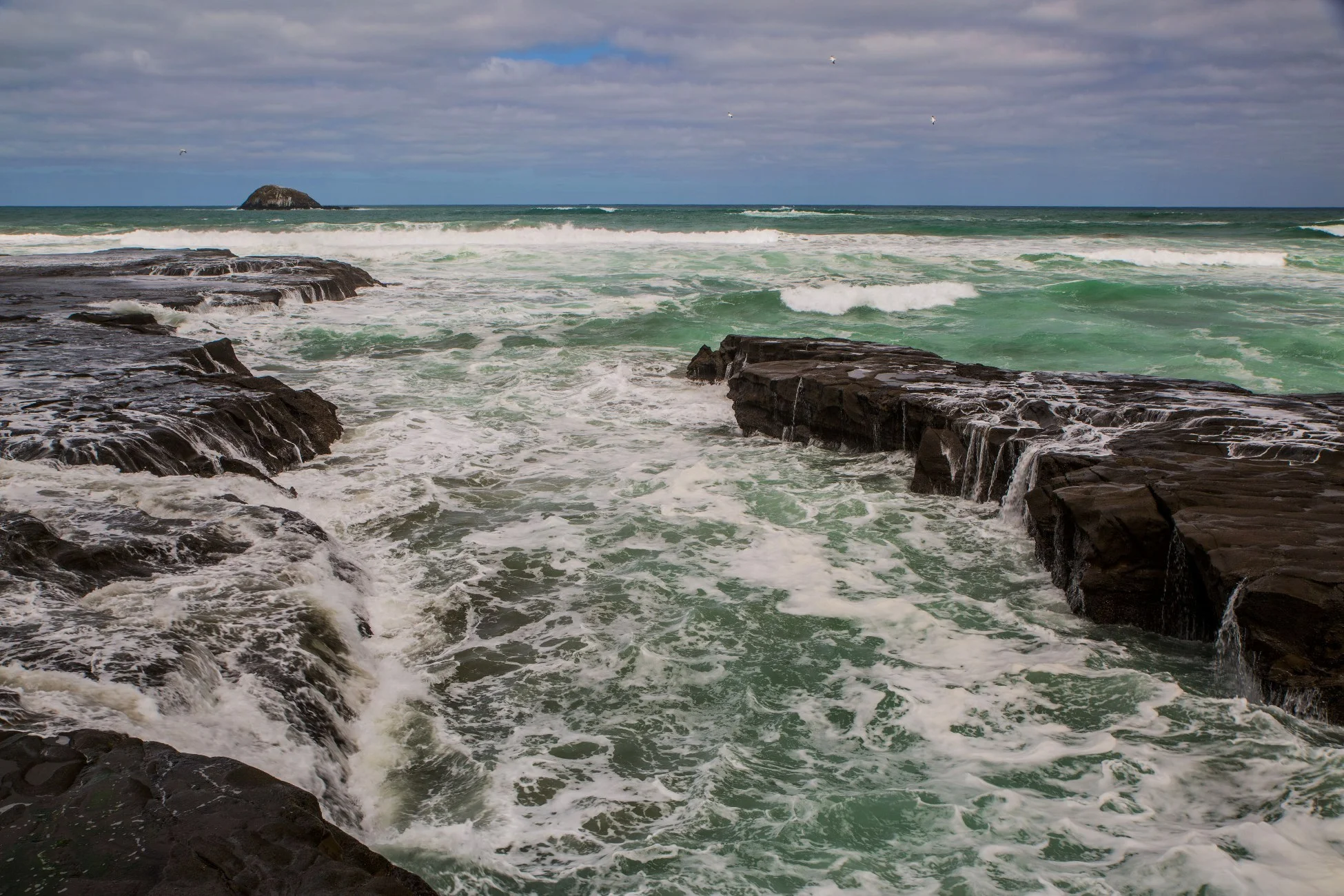 Muriwai,-2964d.jpg