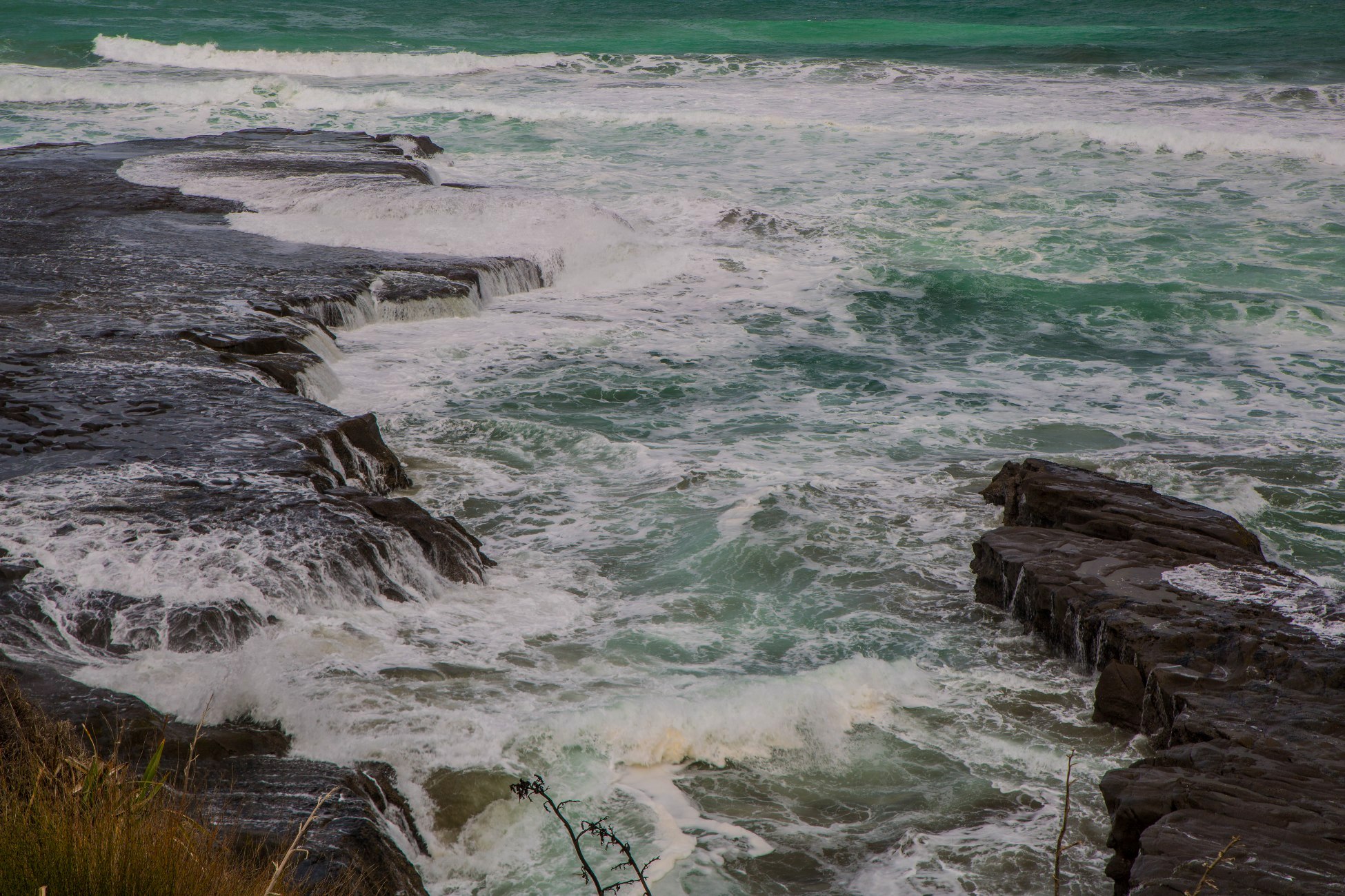 Muriwai,-2968d.jpg